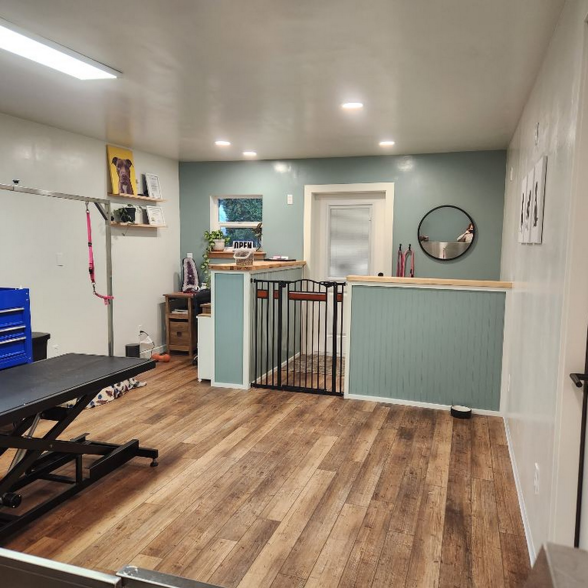 Fresh Pets Grooming Dallas