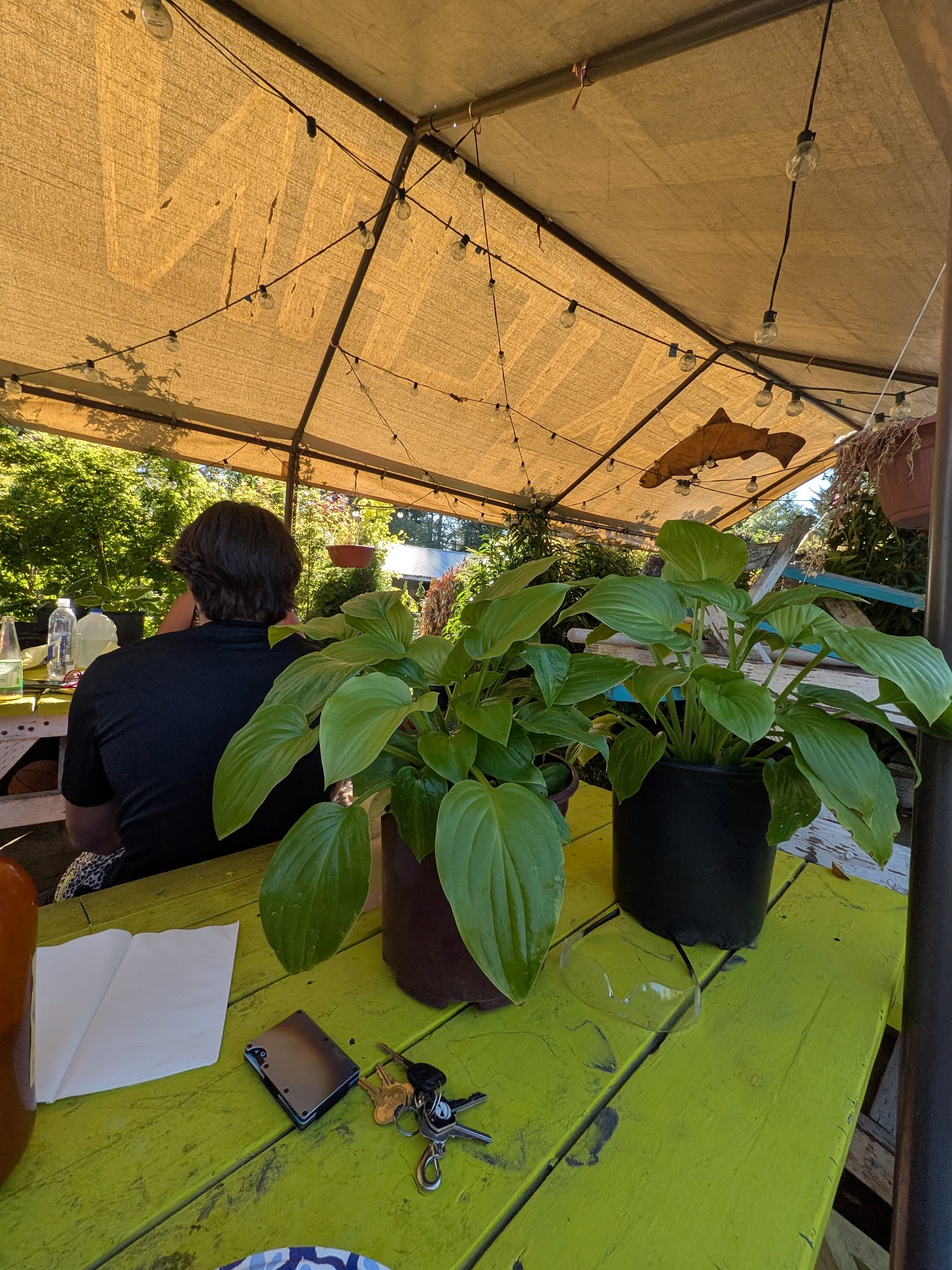 Los fogones food truck Damascus