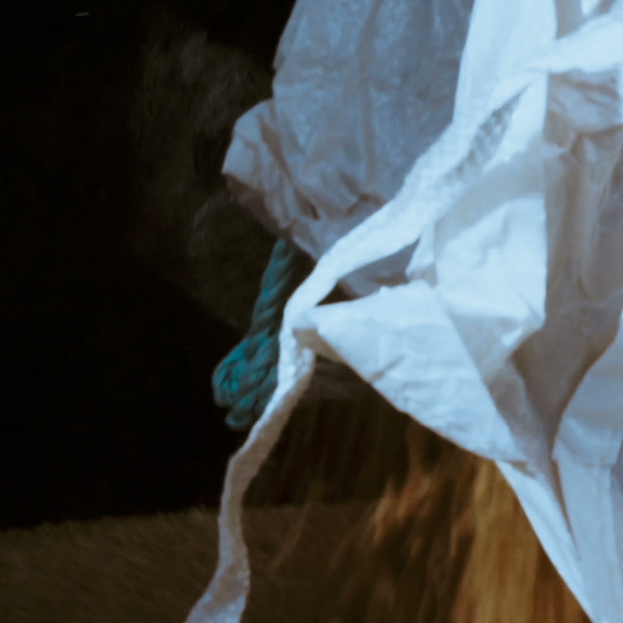 Branch Point Distillery & Tasting Room Dayton