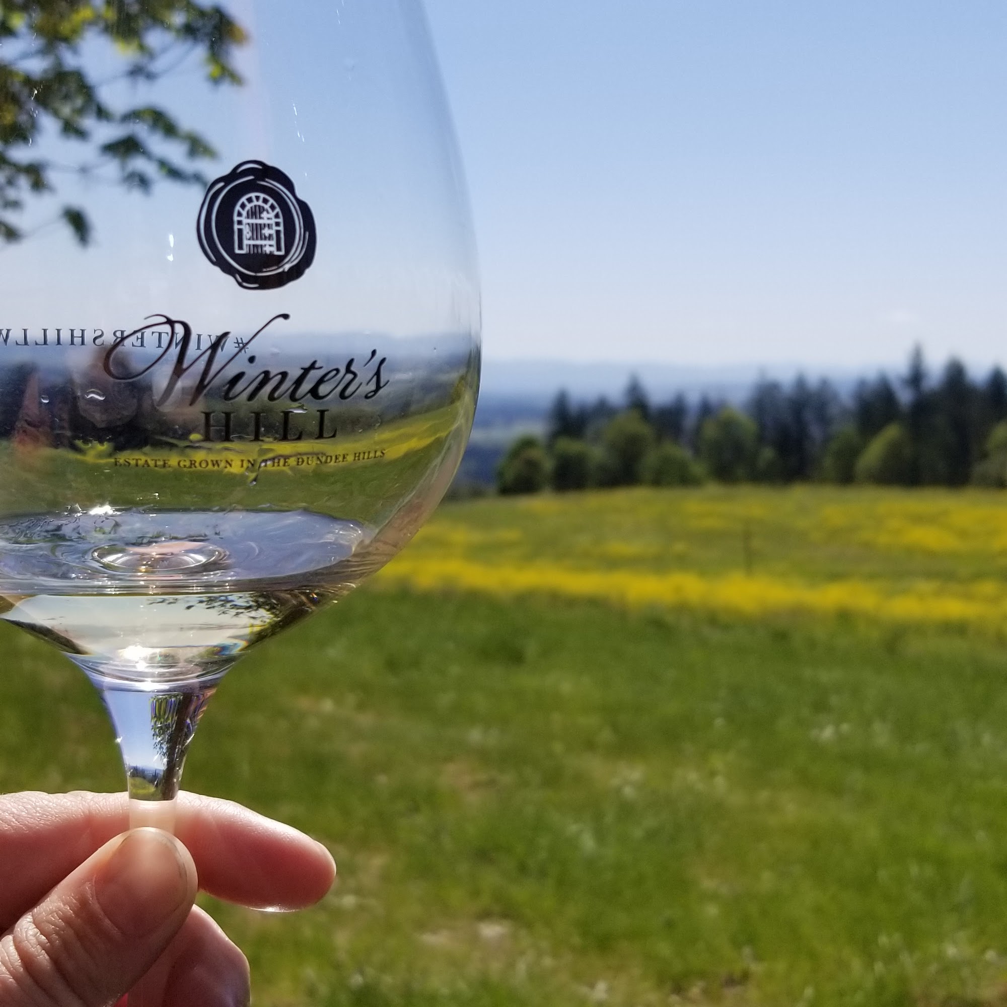 Winter's Hill Estate Dayton