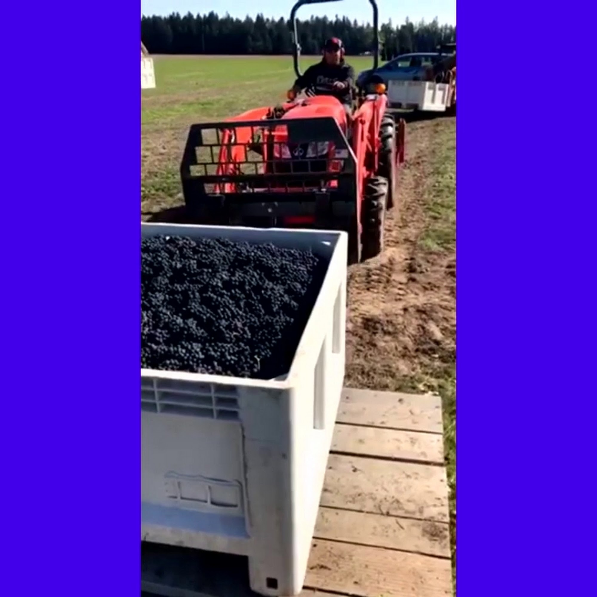 Alumbra Cellars, Inc. Dayton