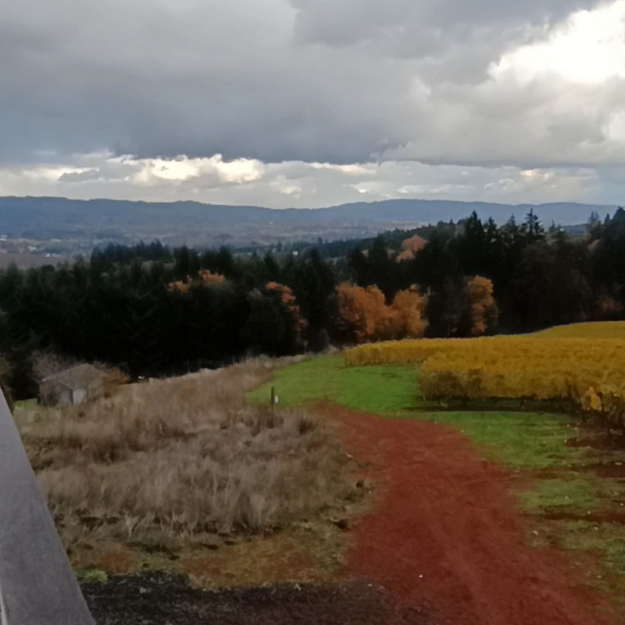 Lange Estate Winery & Vineyards Dundee