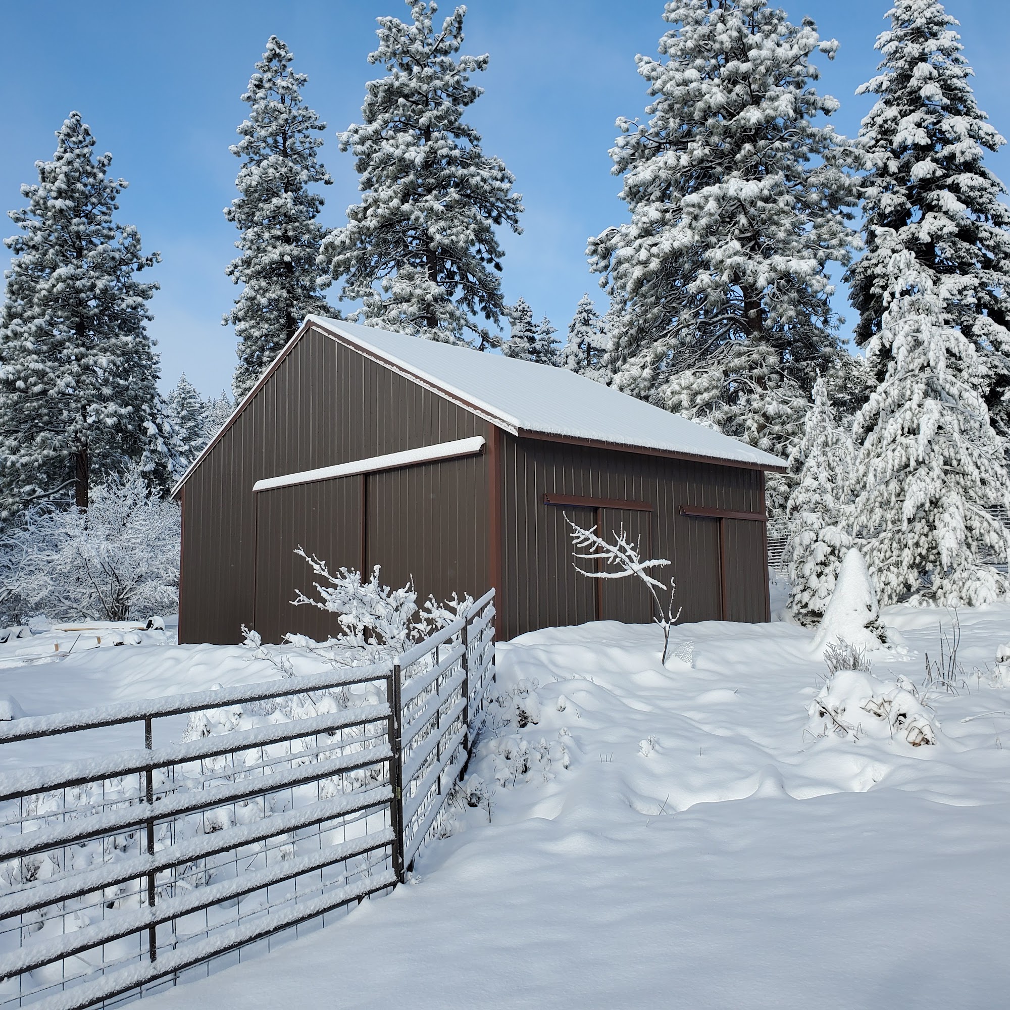 Big Pine Construction