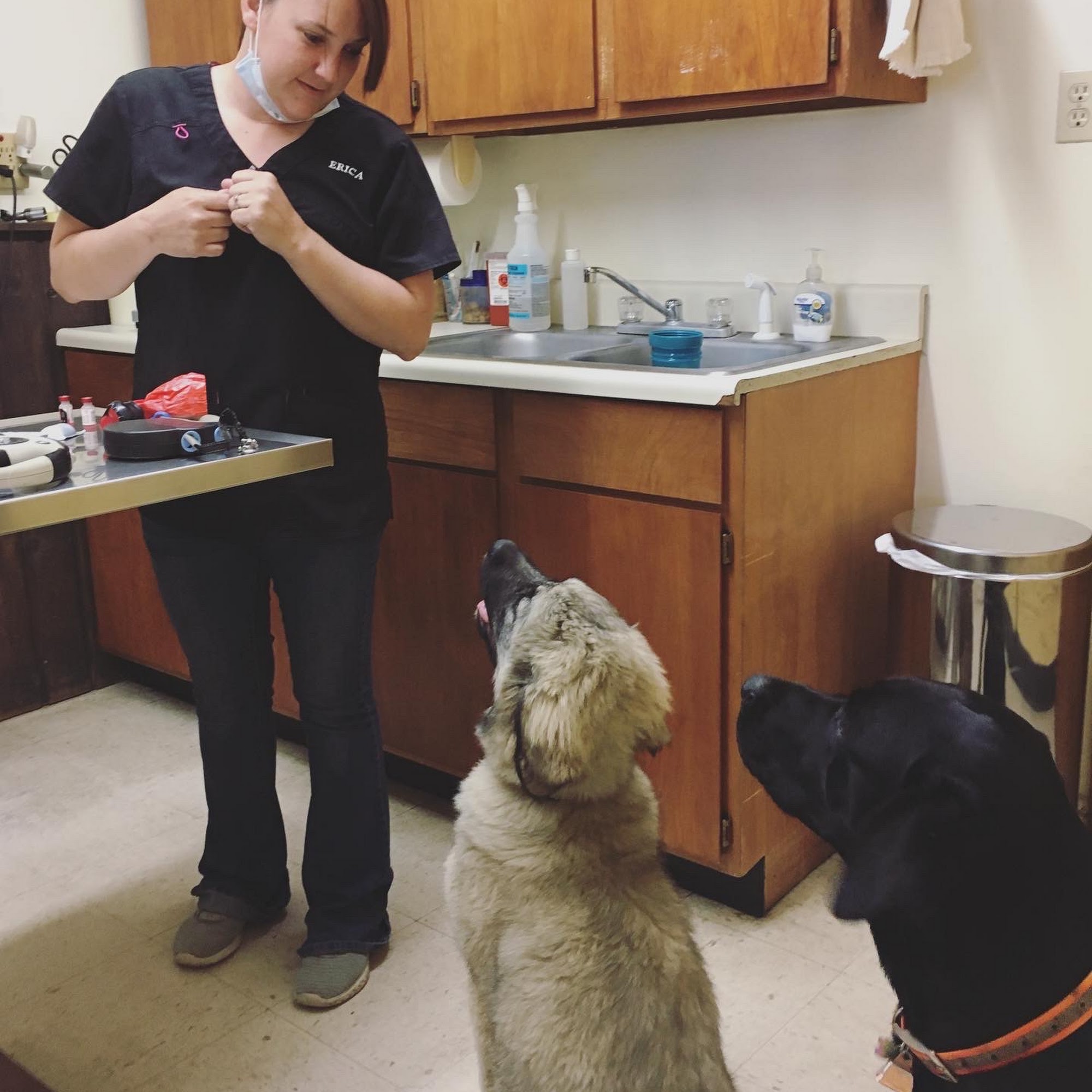 Enterprise Animal Hospital Enterprise