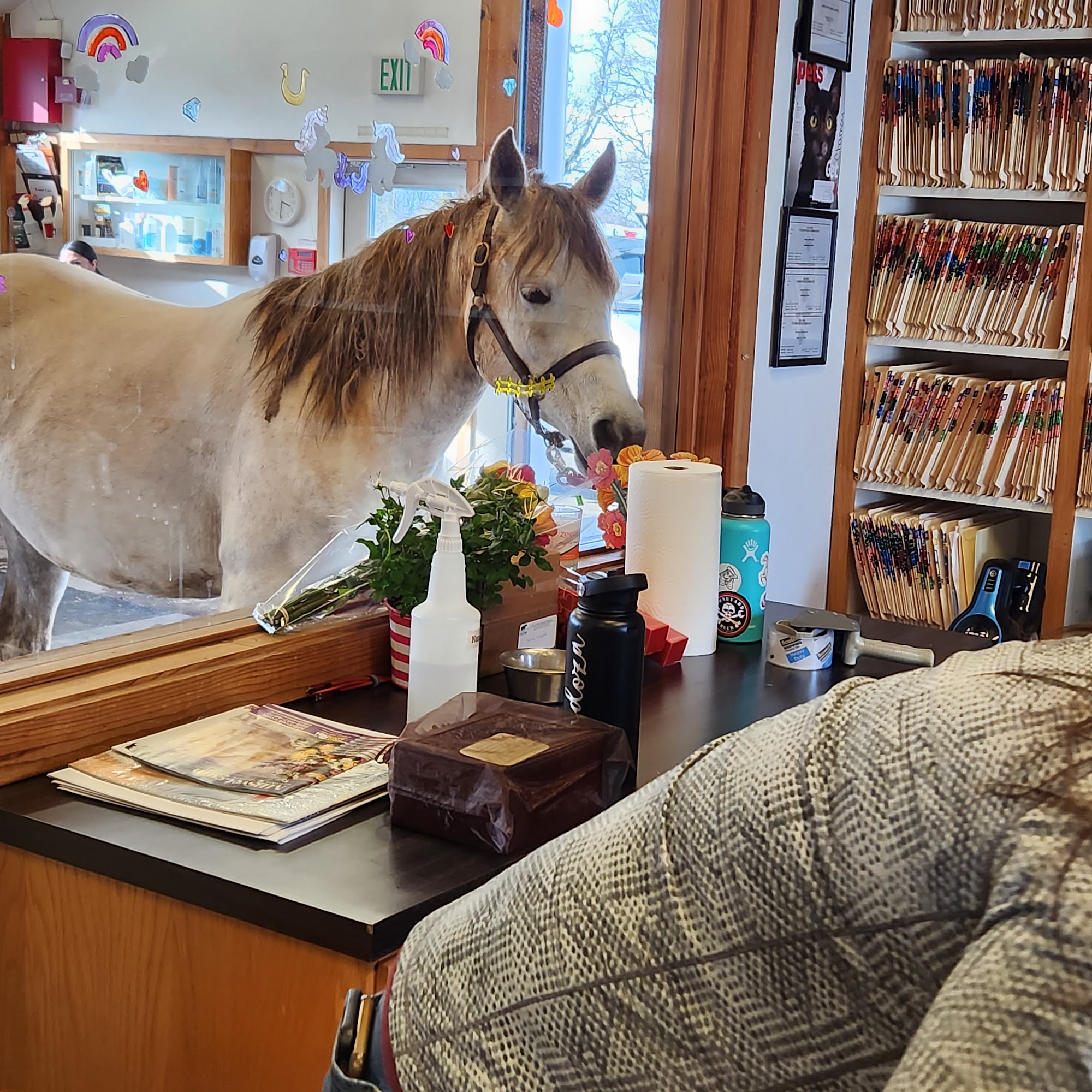 Eagle Fern Equine Hospital Estacada