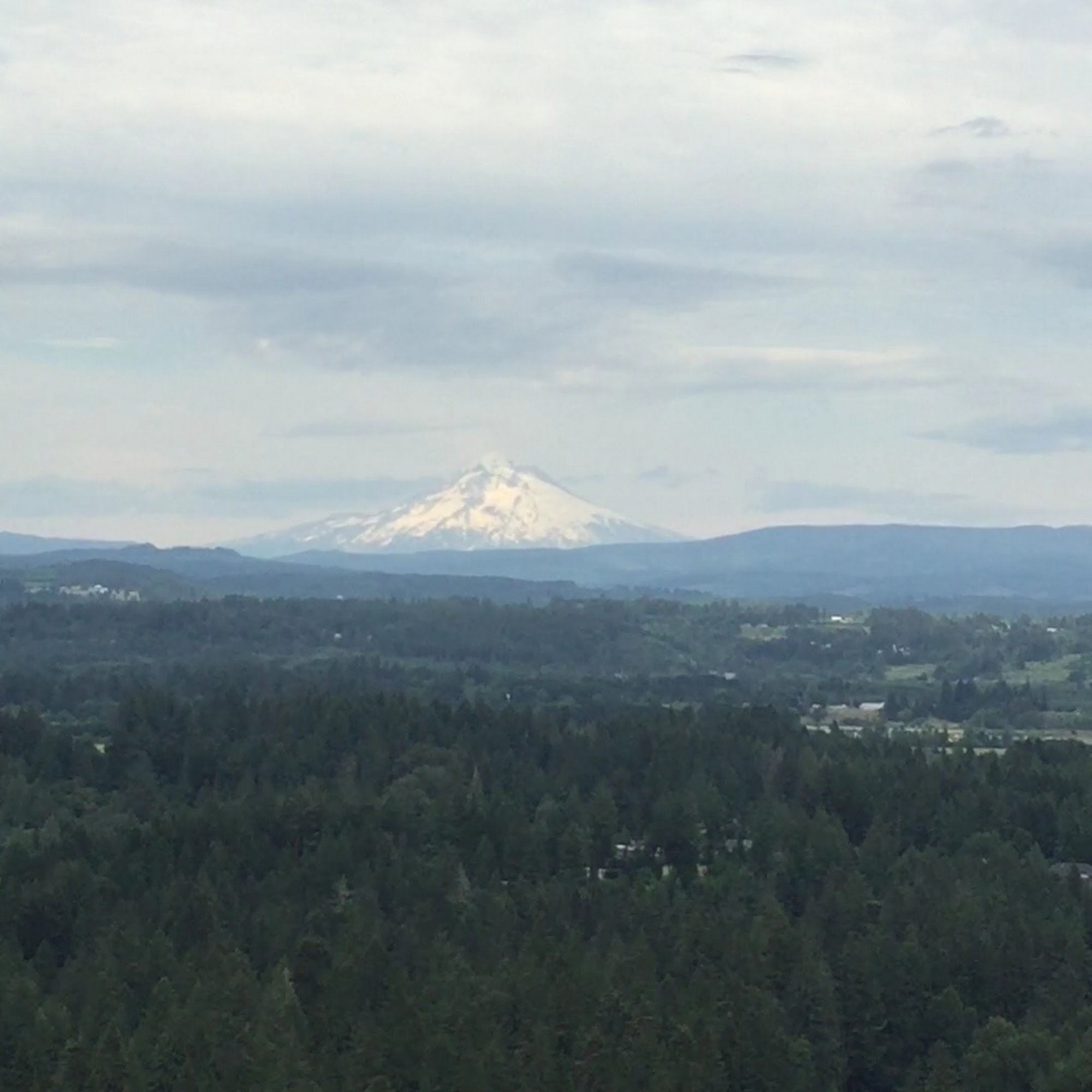 Bent Shovel Brewing - Beer Garden Estacada