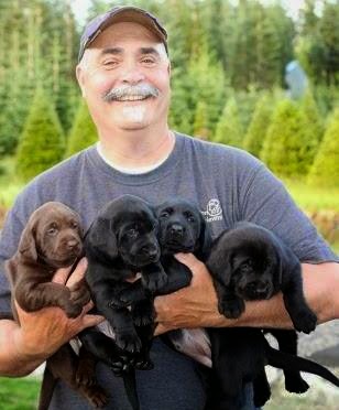 Layton Retriever Kennels Estacada