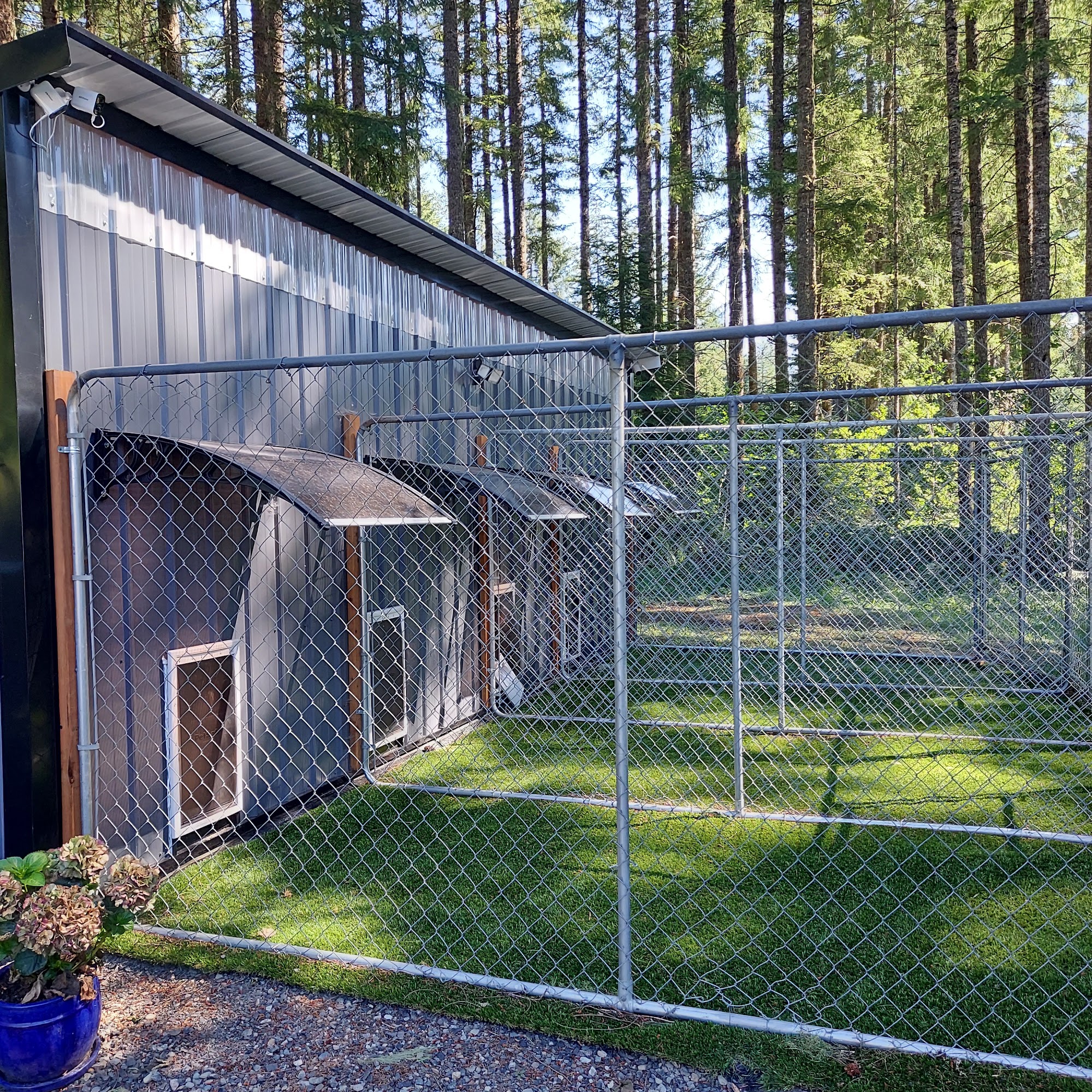 Golden Amore Boarding Estacada