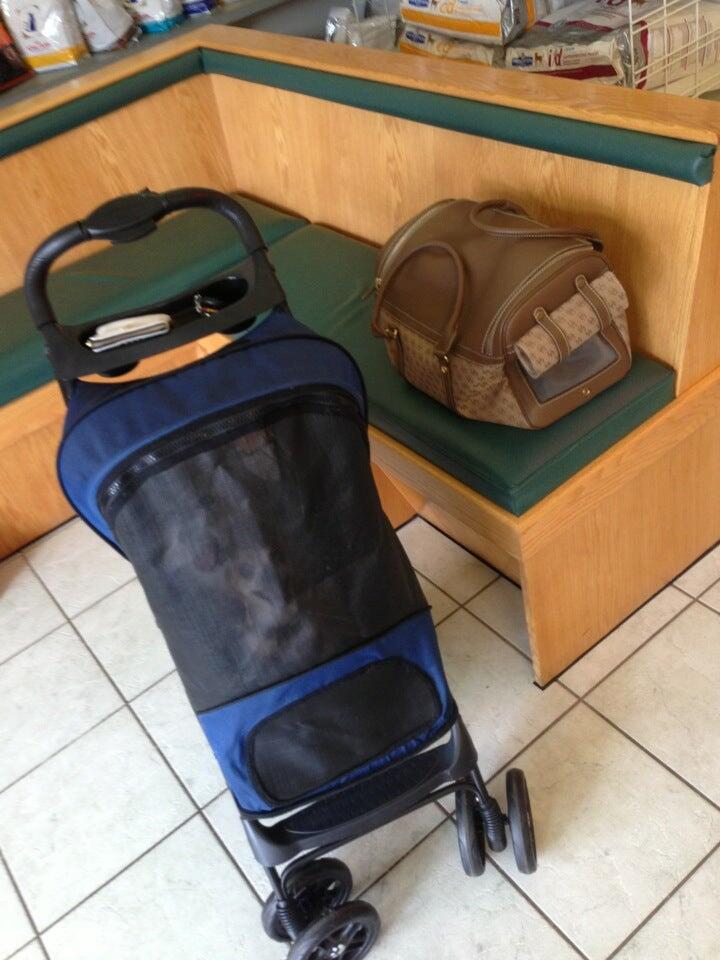 Browning Todd R DVM Eugene