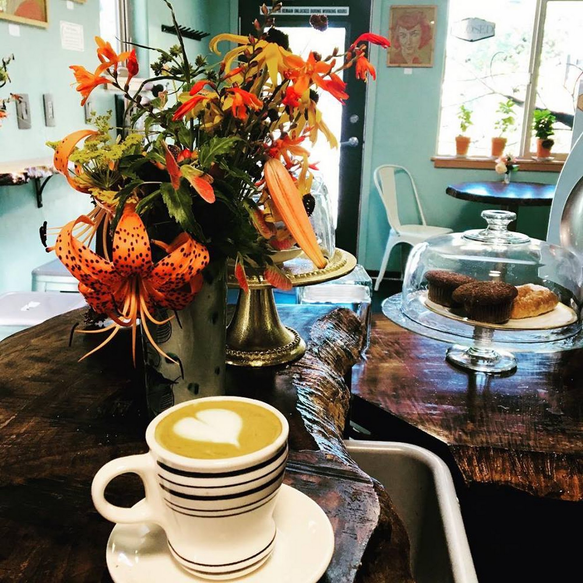 Equiano Coffee Roasters Eugene