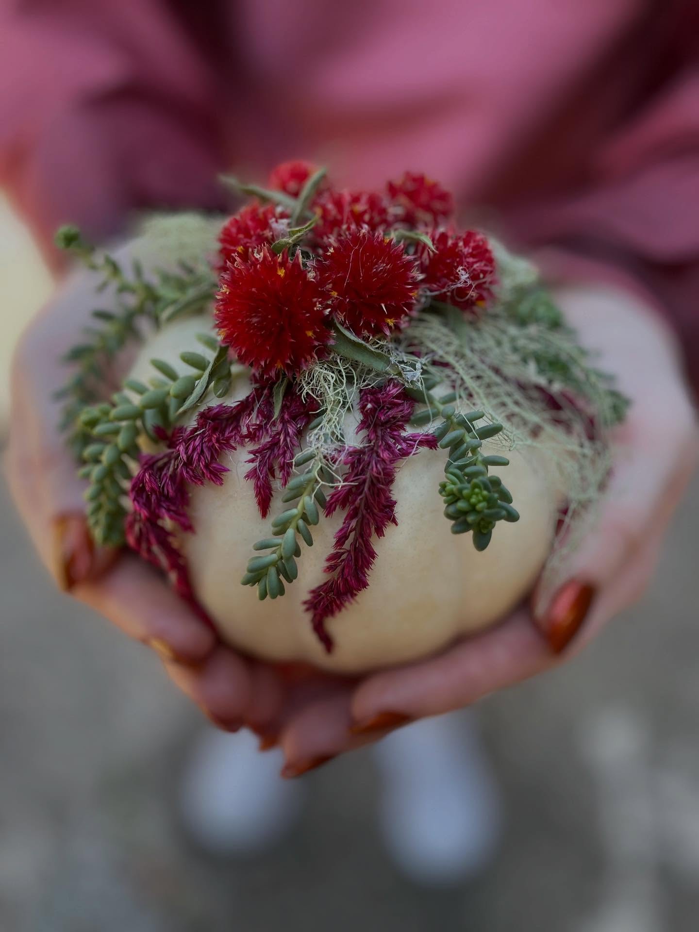 Equiano Coffee Roasters Eugene