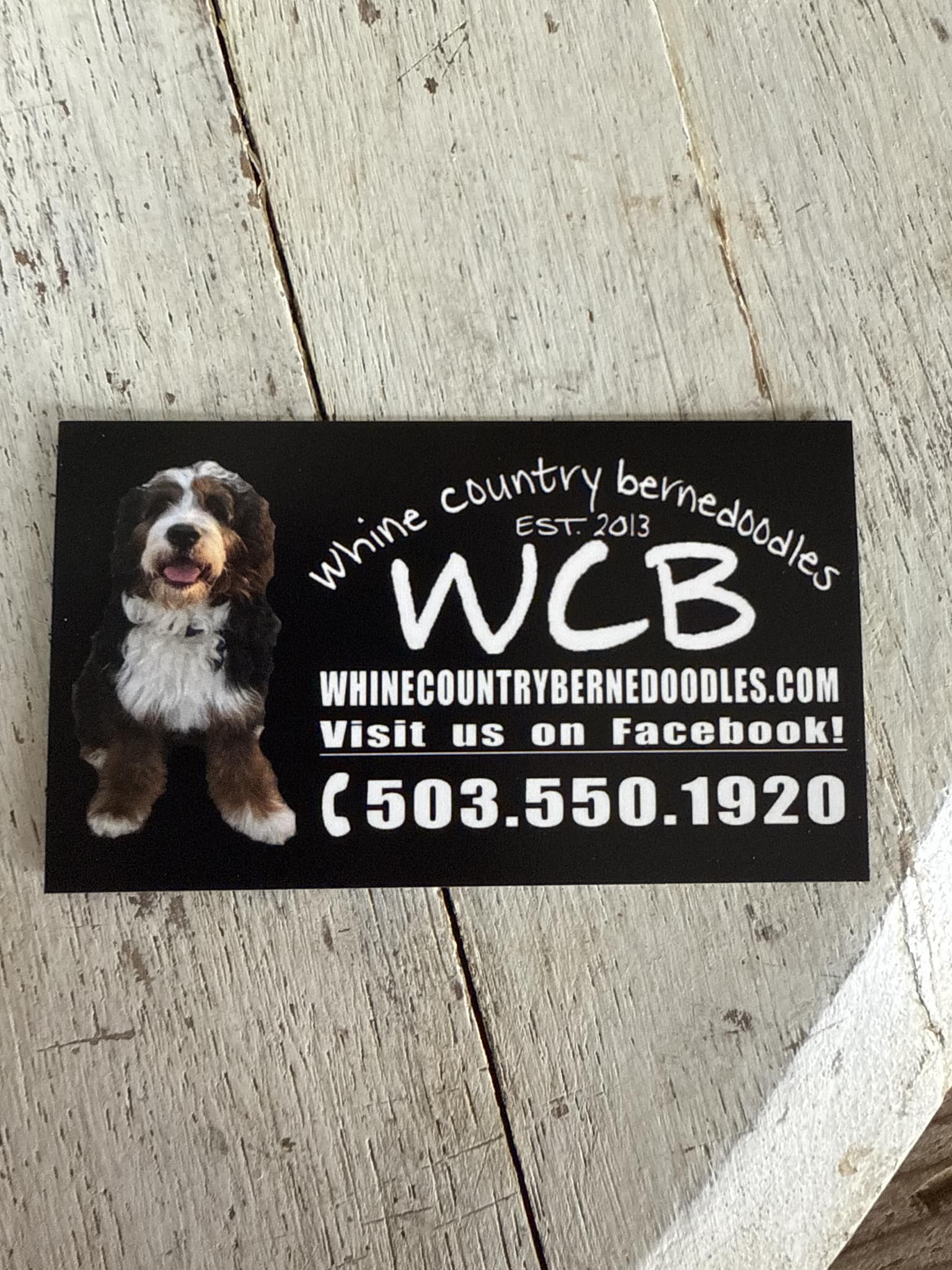 Comprehensive Pet Therapy Inc - Dog Training Oregon Eugene