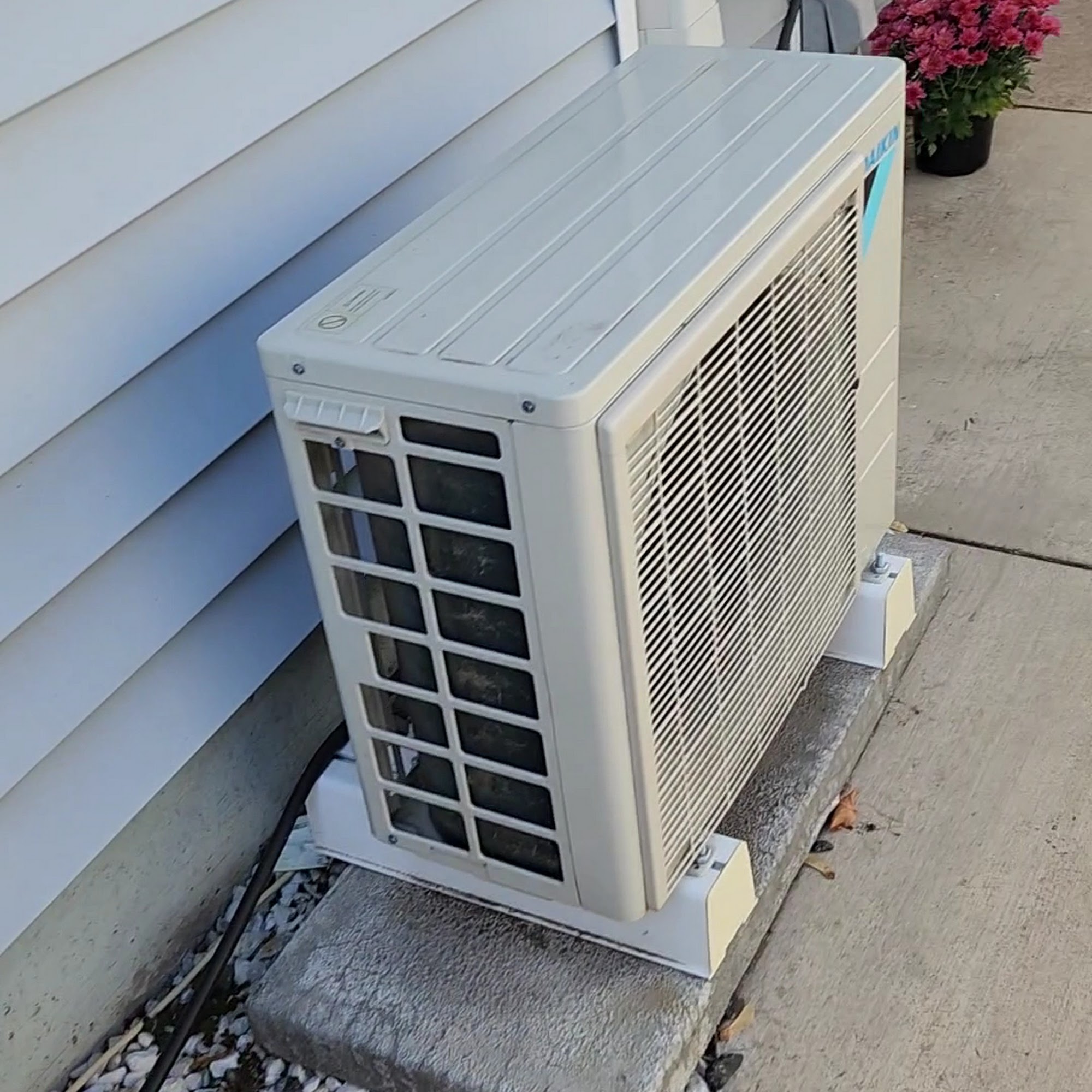 Kitty Cat Hotel Eugene Eugene