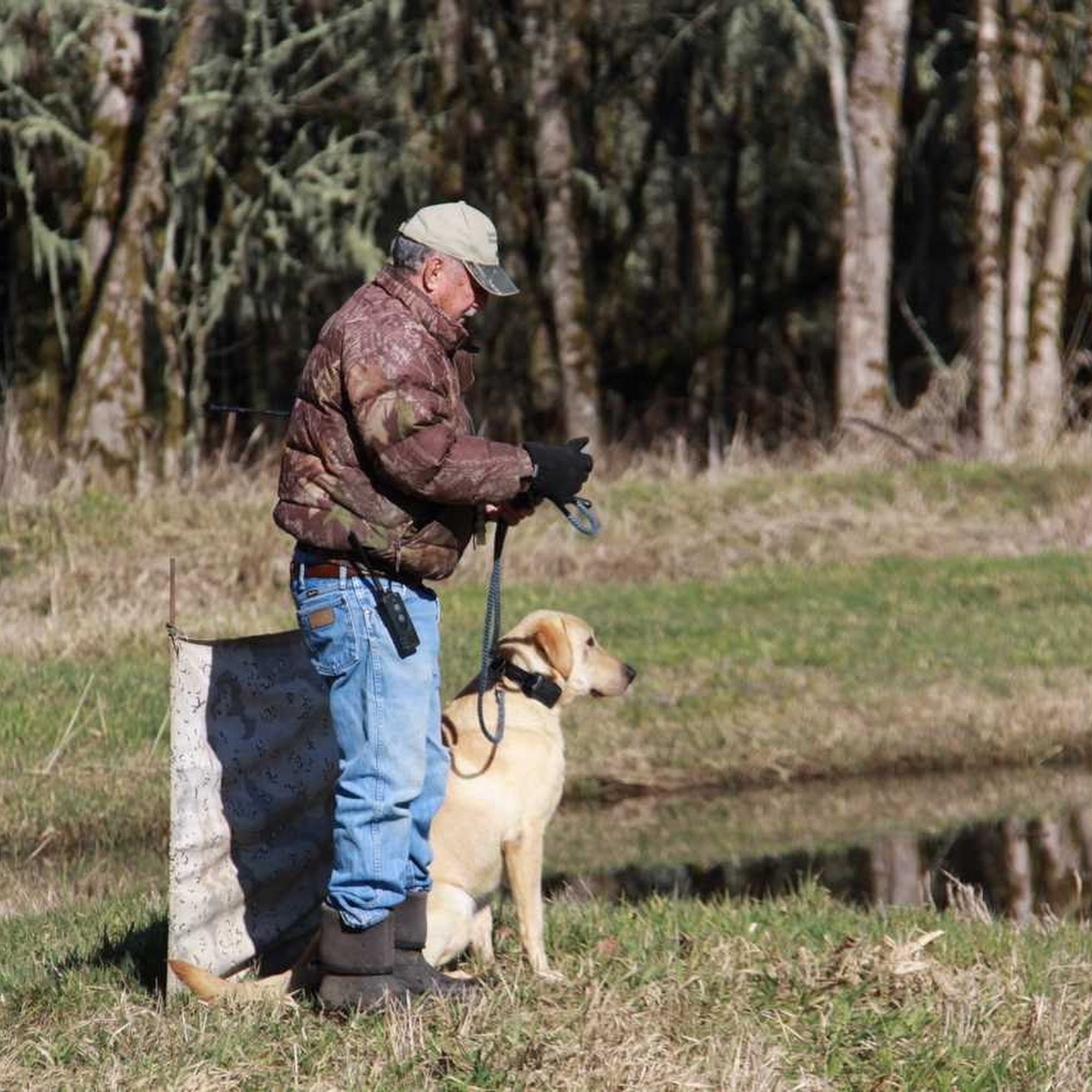 Coyote Creek Retrievers | Training • Breeding • Boarding Eugene