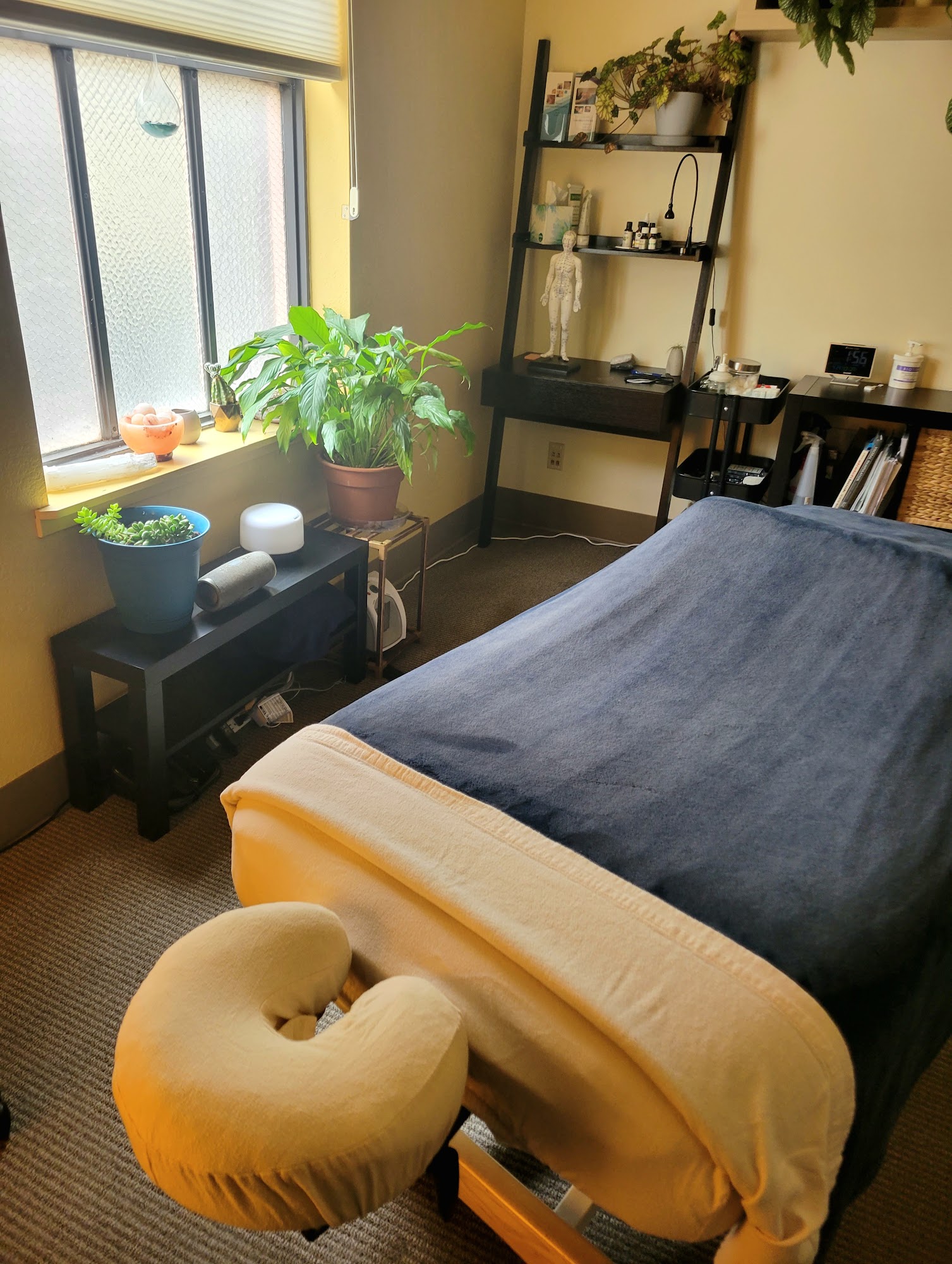 Leah Cowan, LMT 160 E Broadway Alley #200, Eugene Oregon 97401