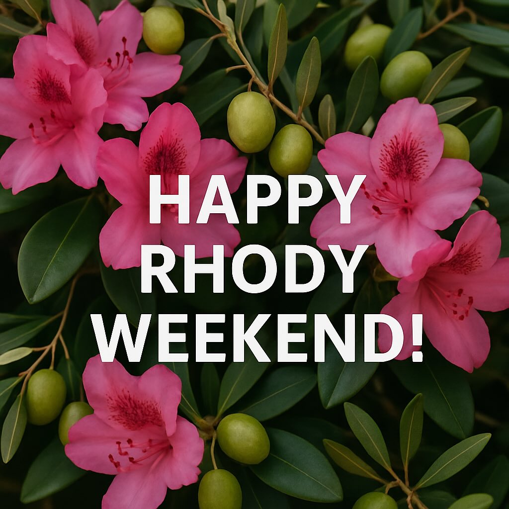 All About Olives Florence