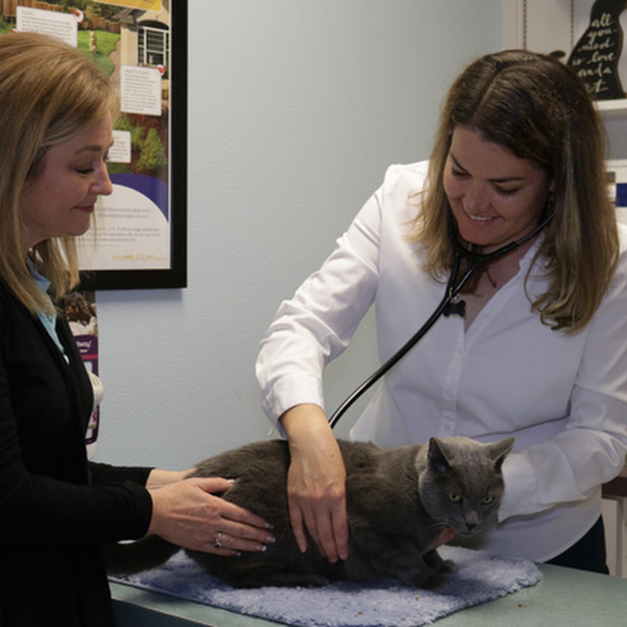 Kindness Family Pet Clinic Forest Grove