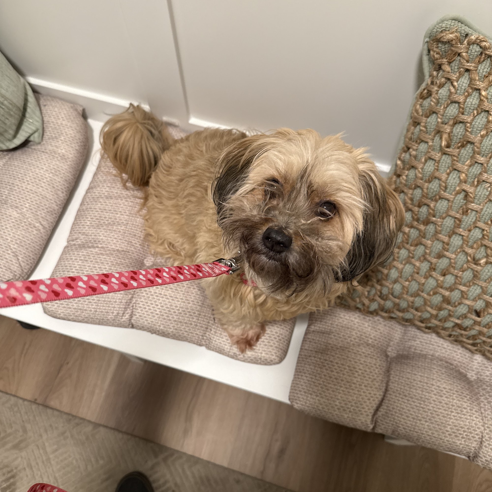 Maria's Spaw Experience Forest Grove