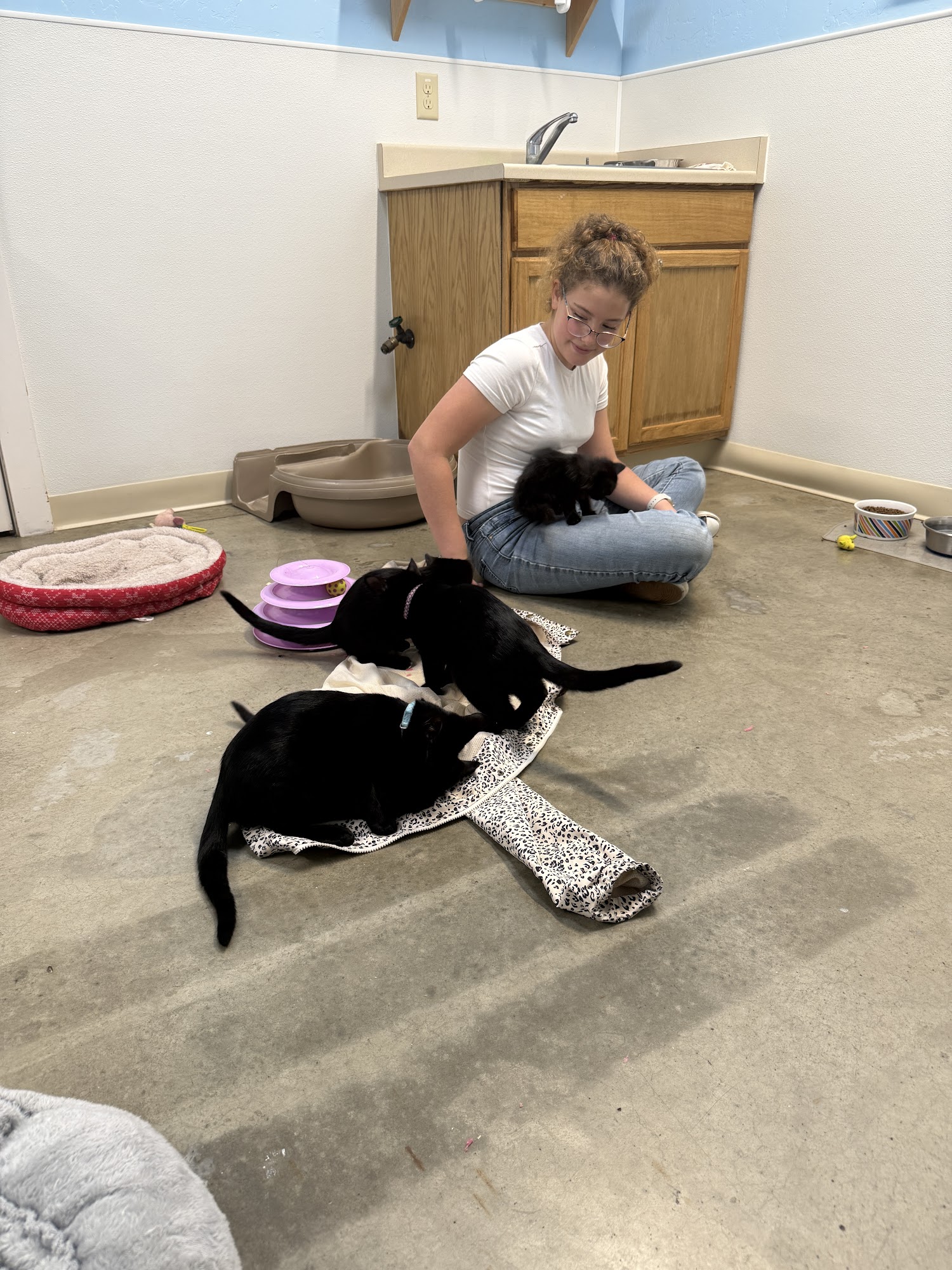 Wild Rivers Animal Rescue Gold Beach