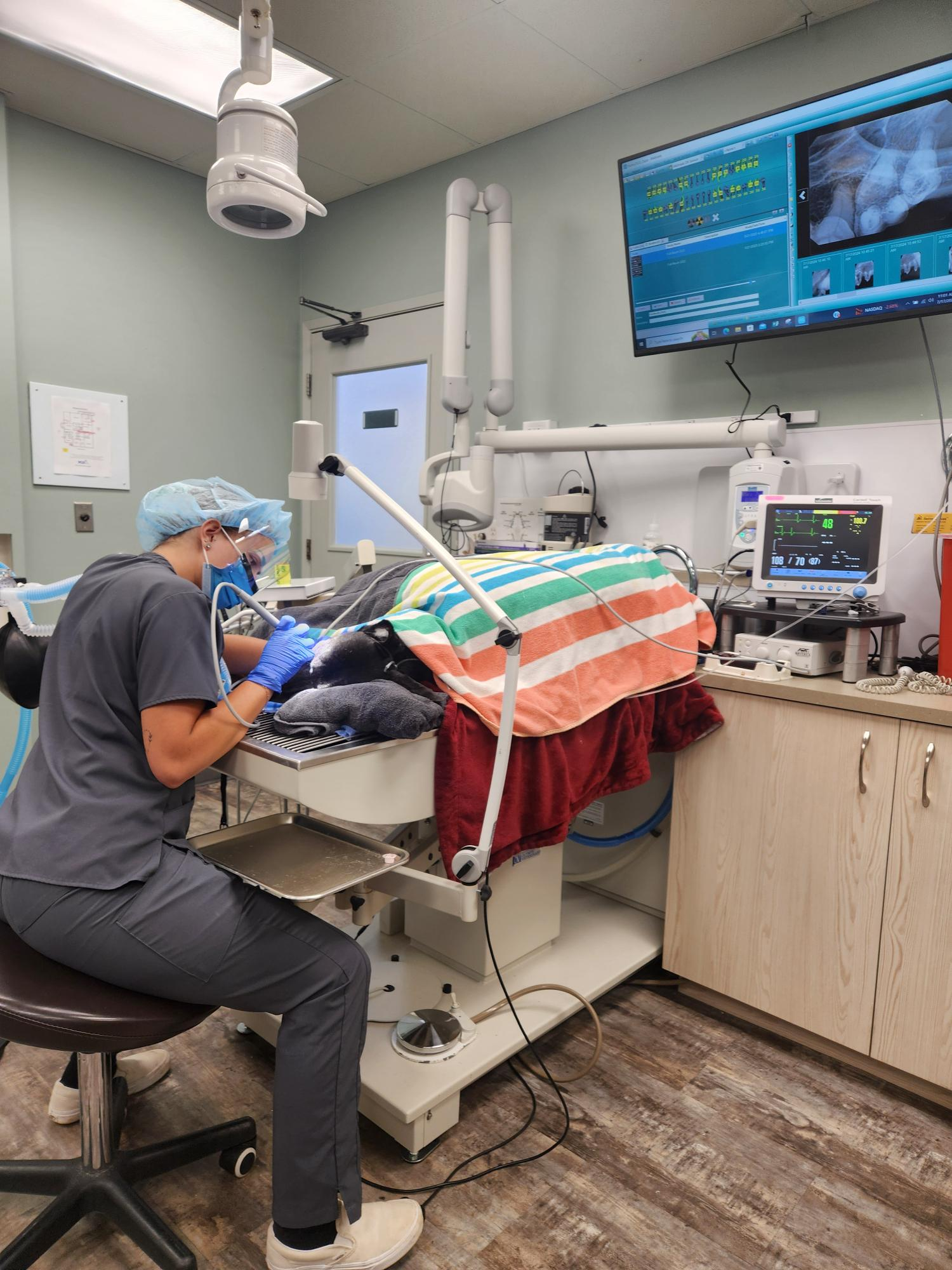 VCA 12-Mile Animal Hospital Gresham