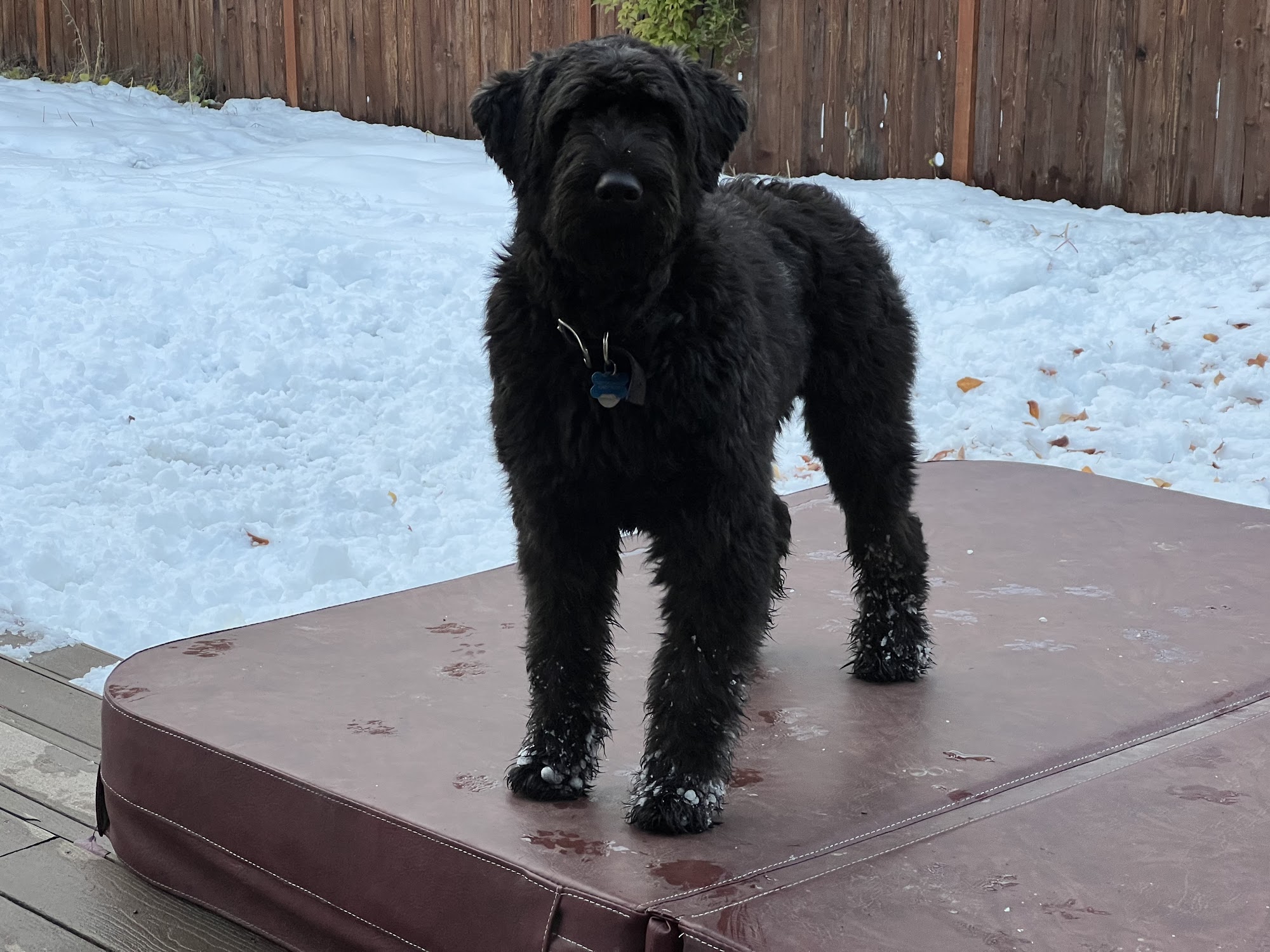 Gresham Animal Hospital Gresham