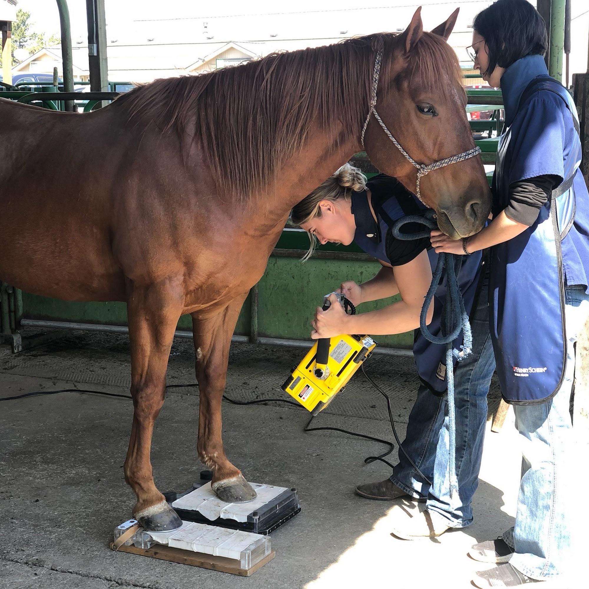Oregon Trail Veterinary Clinic Hermiston