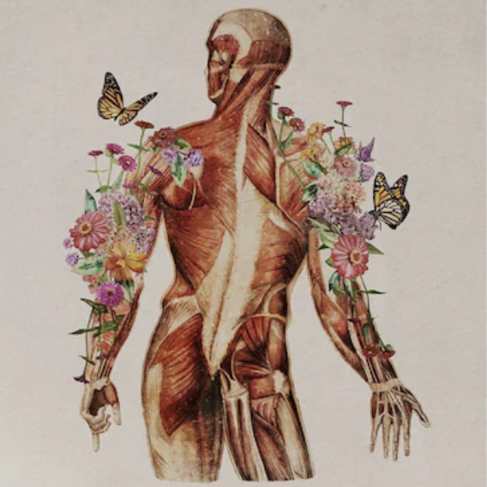 Deeply Kneaded Therapeutics LLC