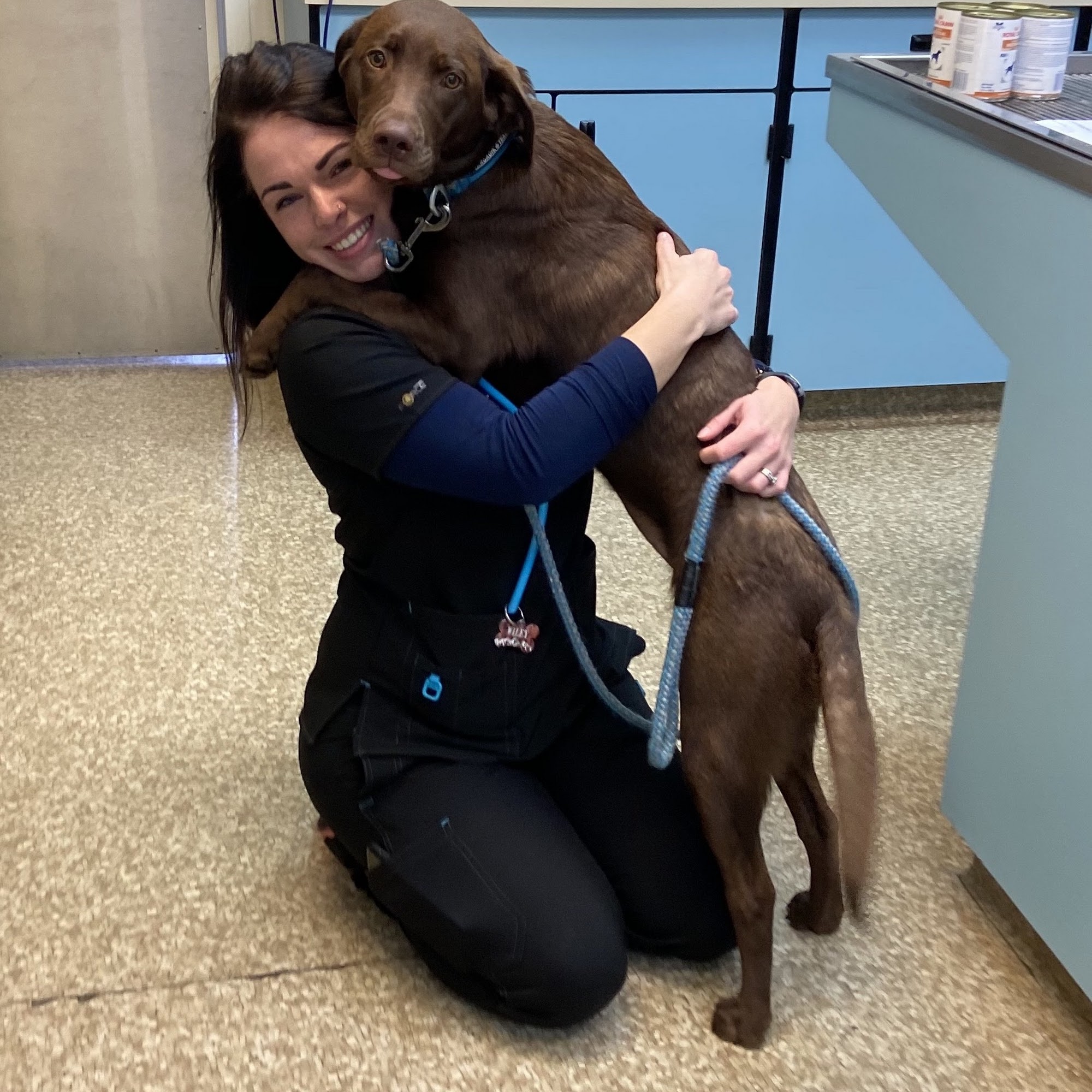 Hillsboro Veterinary Clinic Hillsboro