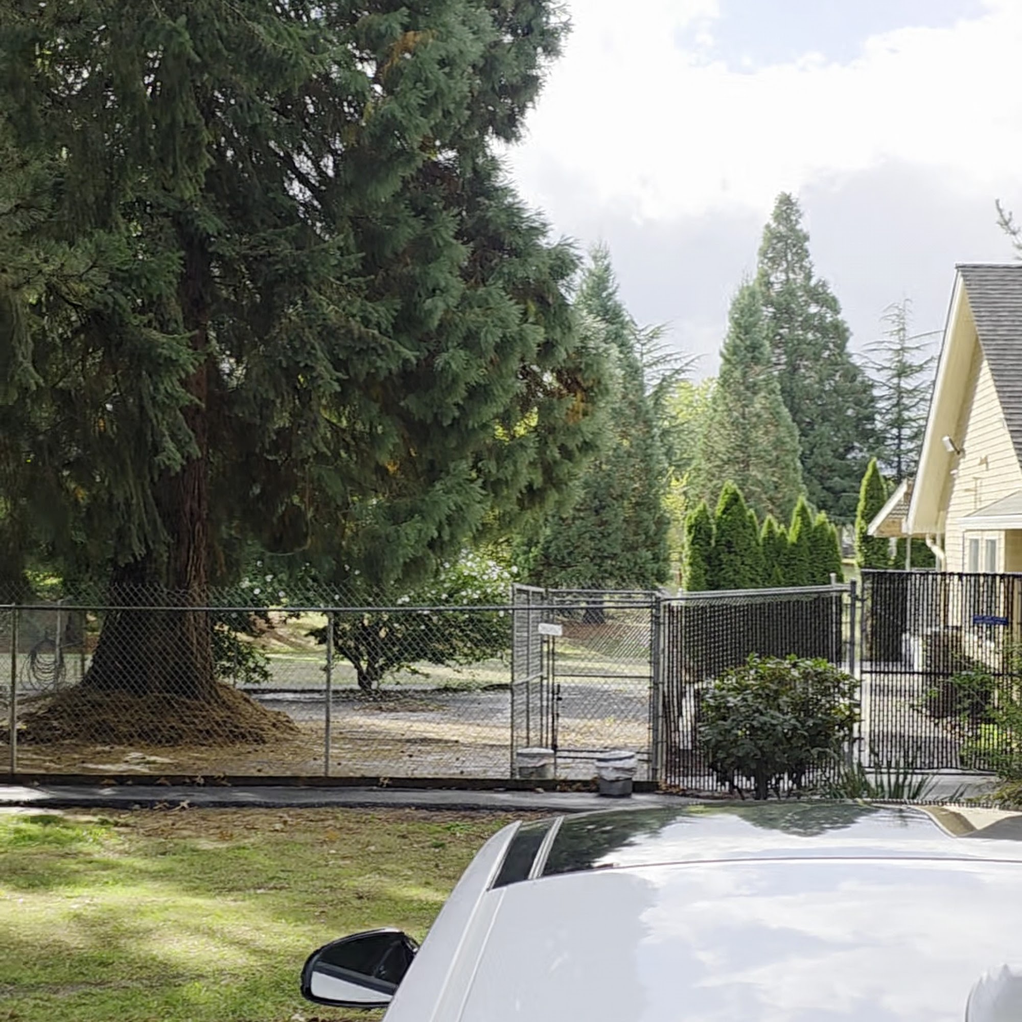 Laurel Acres Kennels Hillsboro