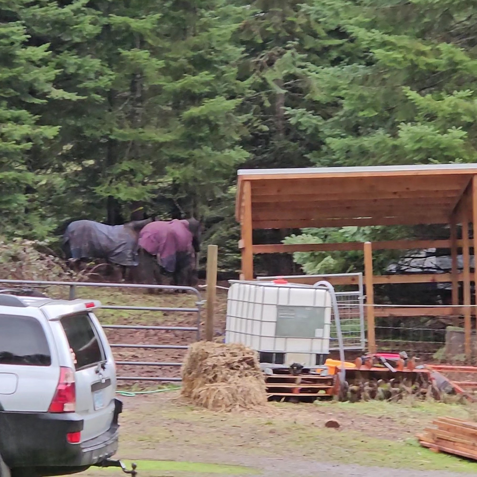 Helvetia Vineyards & Winery Hillsboro