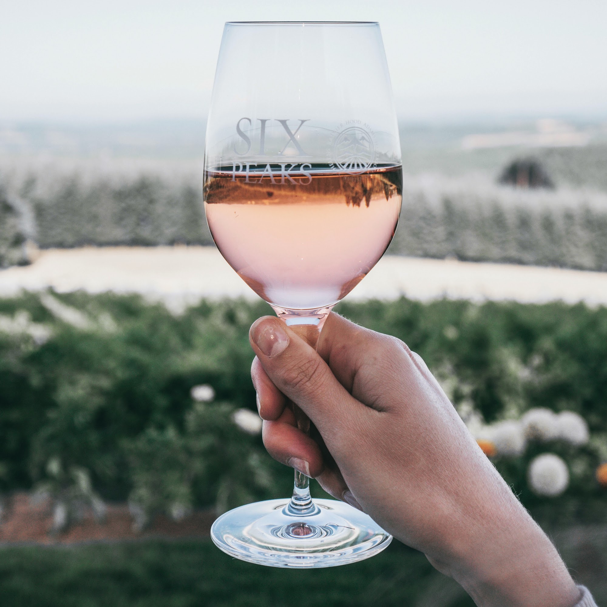 Six Peaks Winery Hillsboro