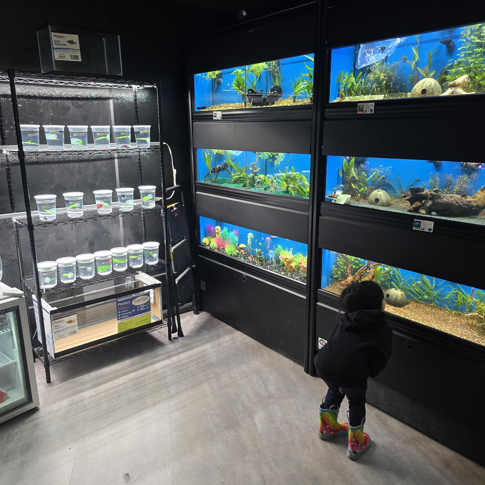 Pets On Broadway Hillsboro Hillsboro