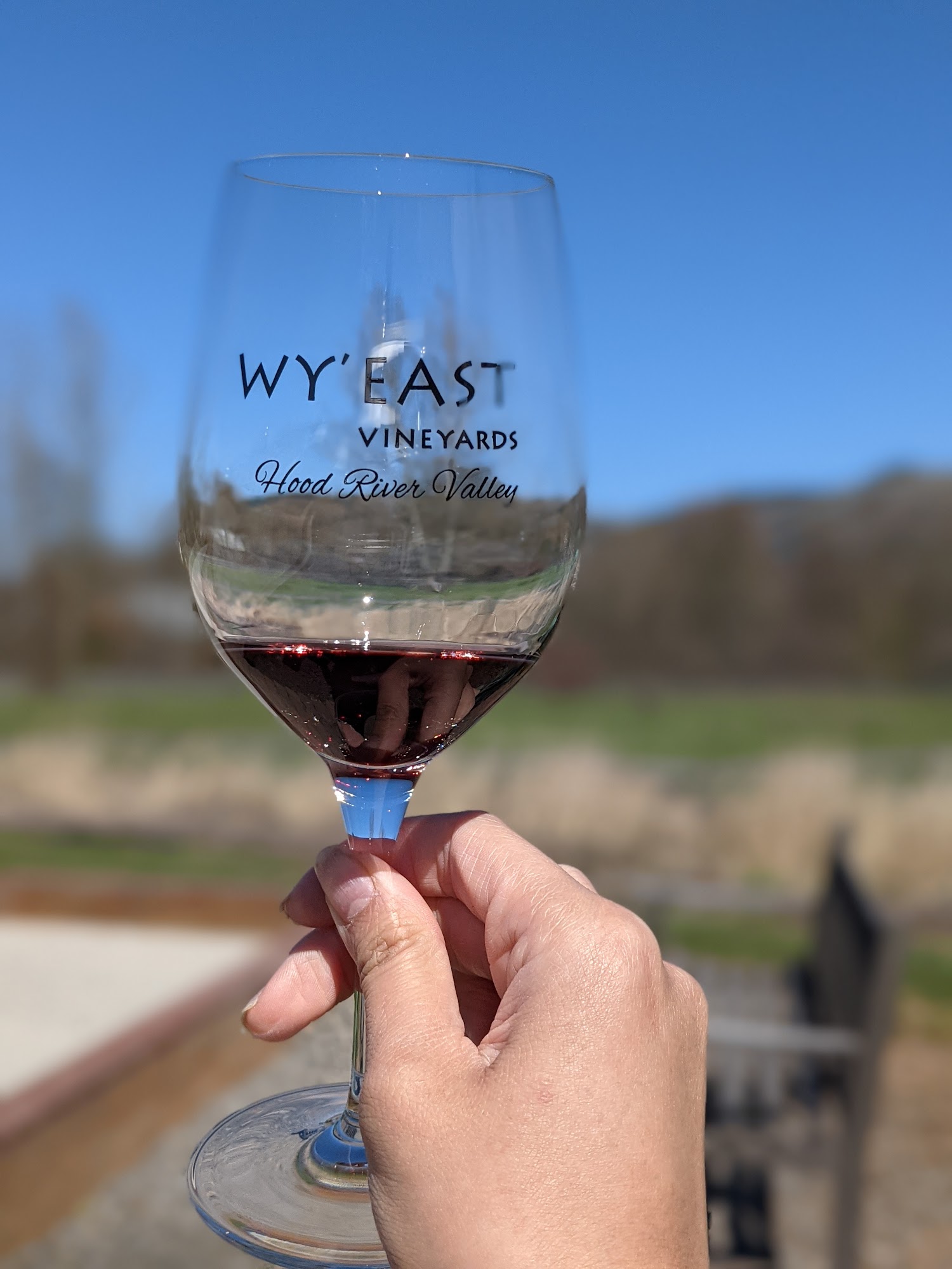 Wy'East Vineyards Hood River