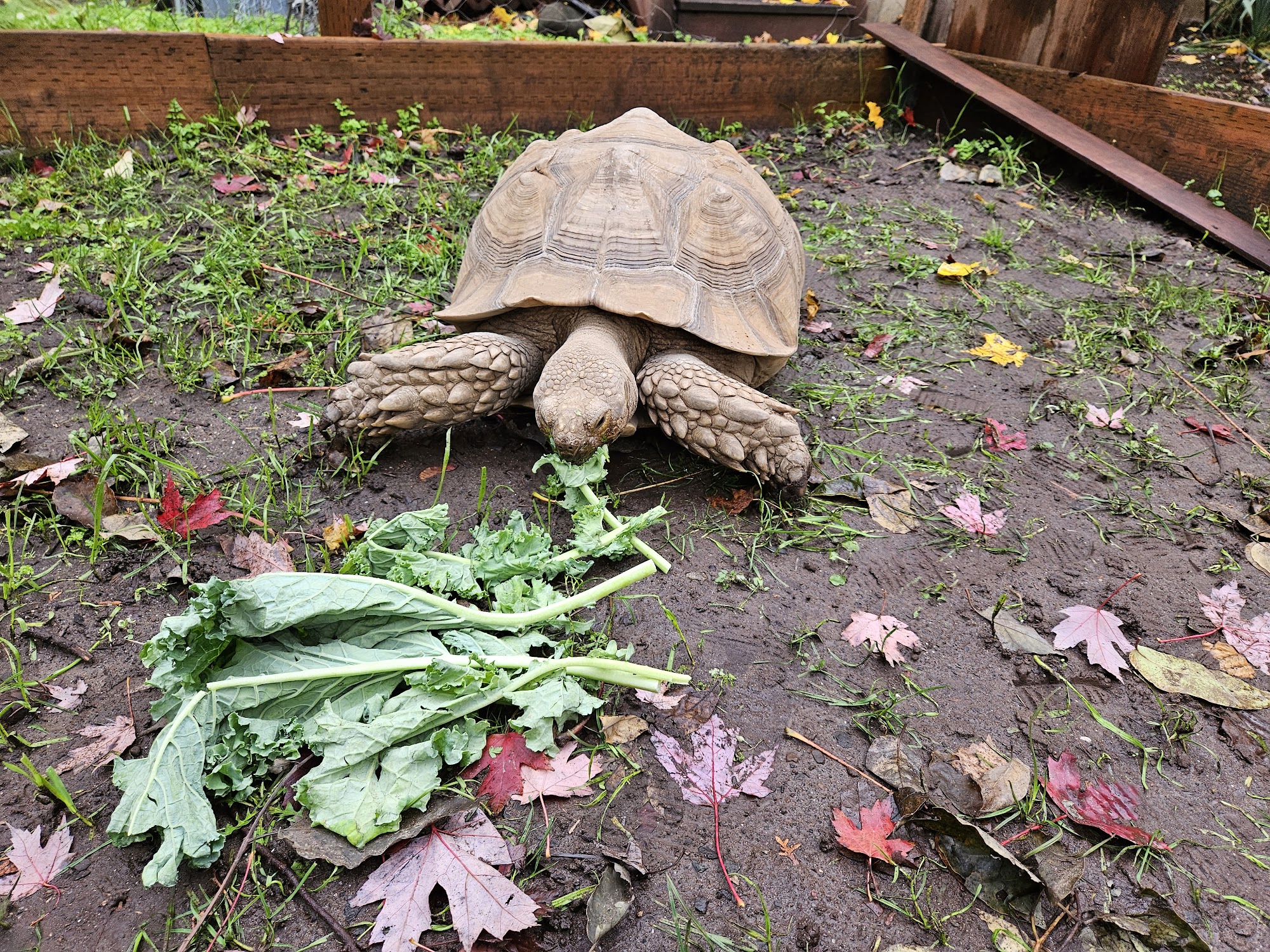 Garden Gates 3539 Avalon Dr, Hood River Oregon 97031
