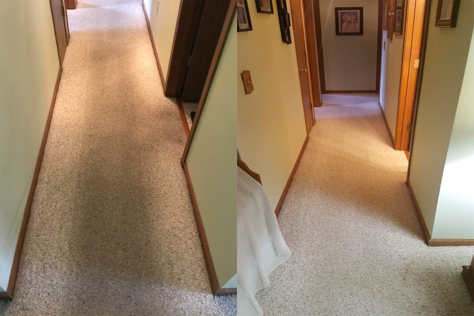 All Pro Carpet Clean