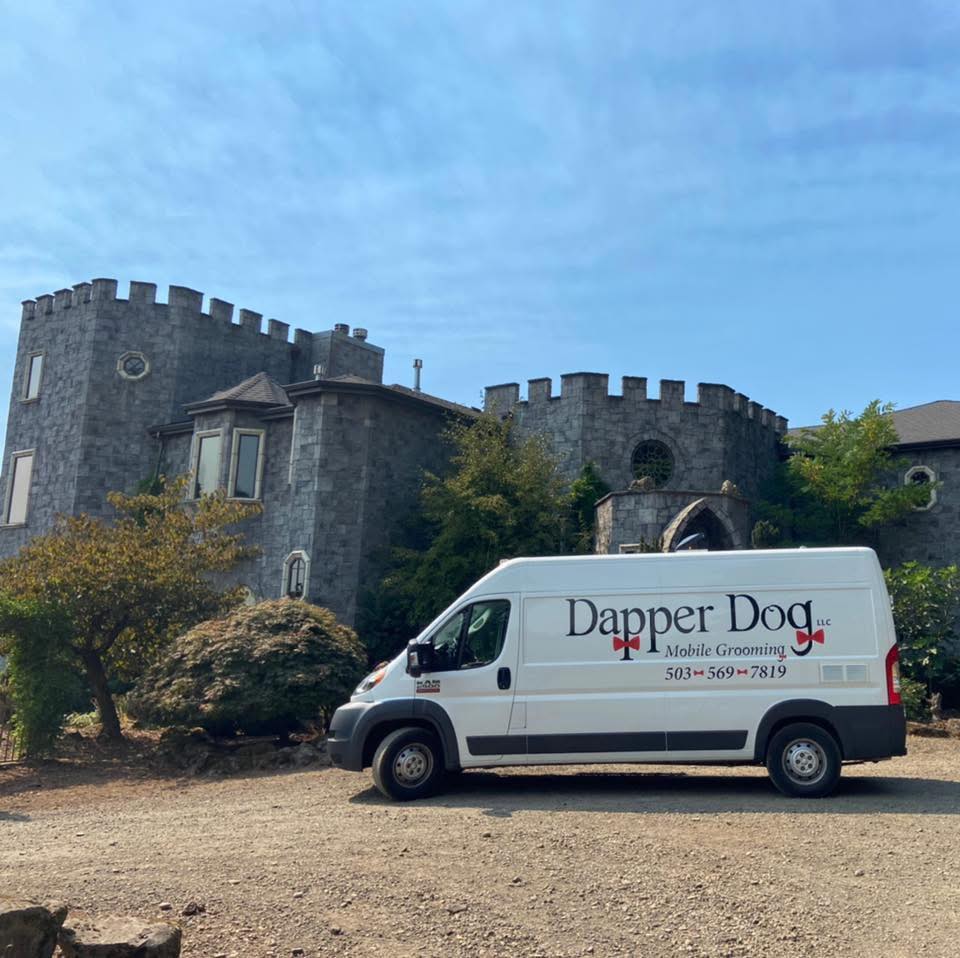 Dapper Dog, LLC Independence