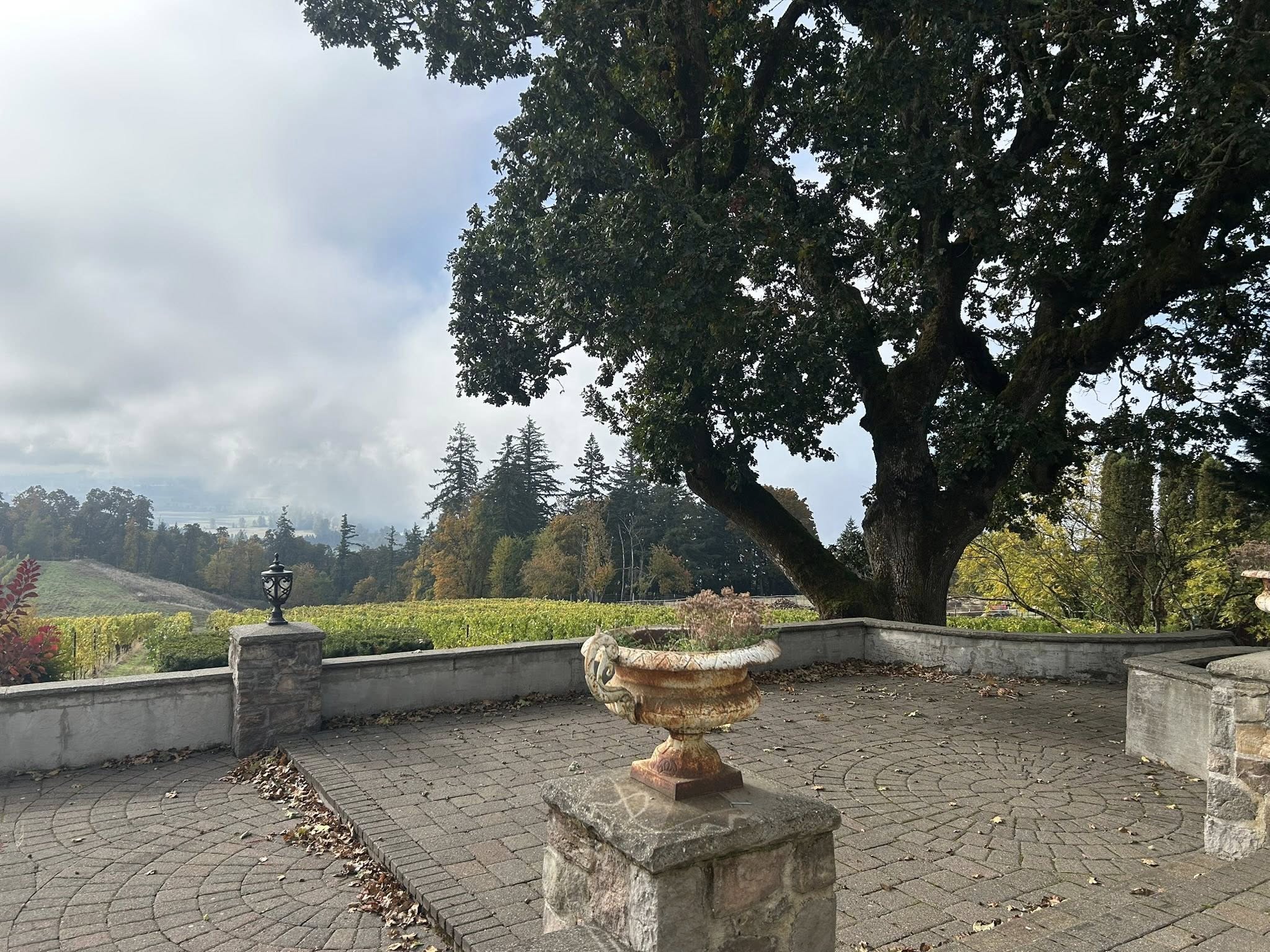 Lawrence Snyder Roofing Inc