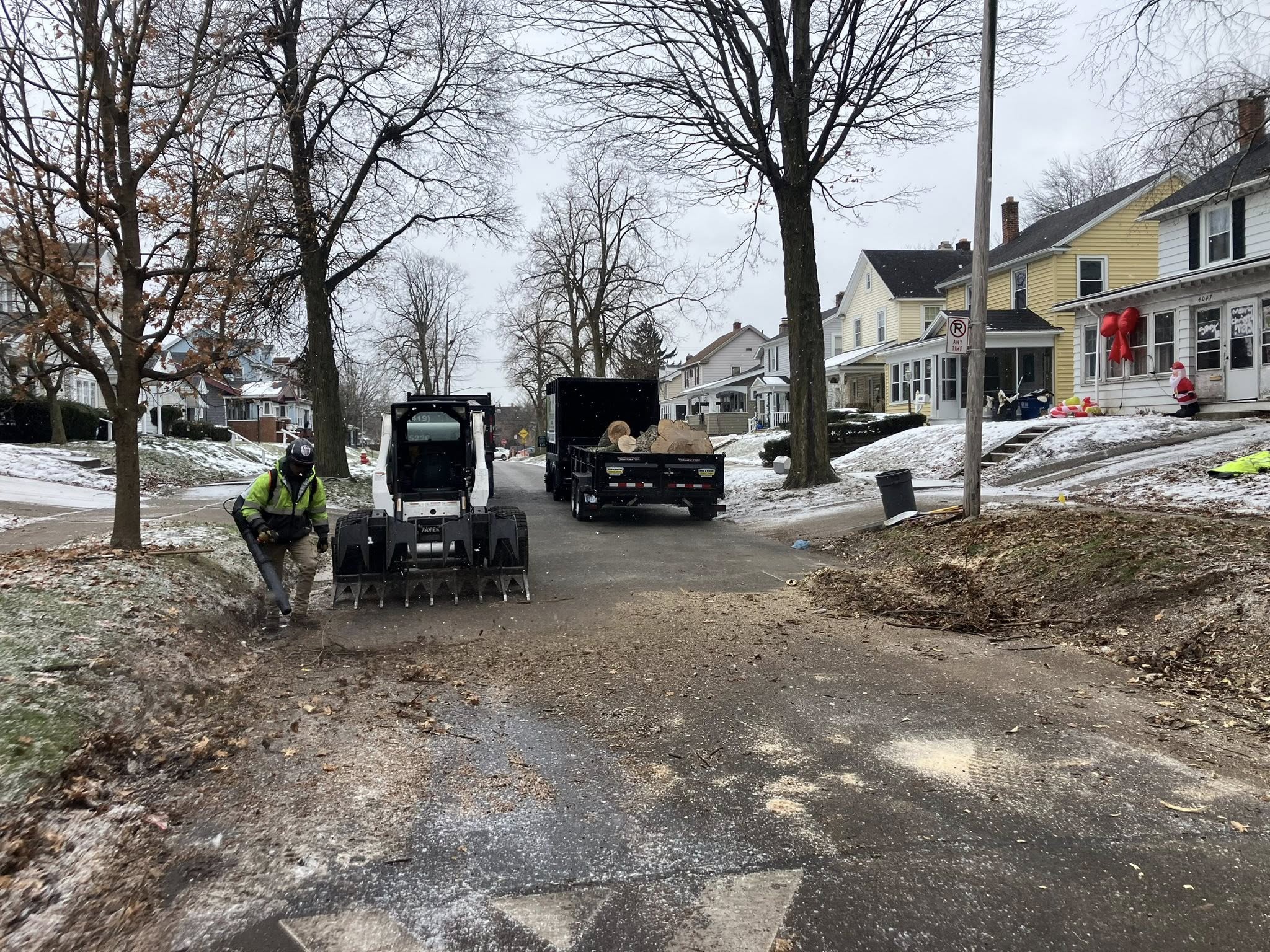 Steve's Tree Service1