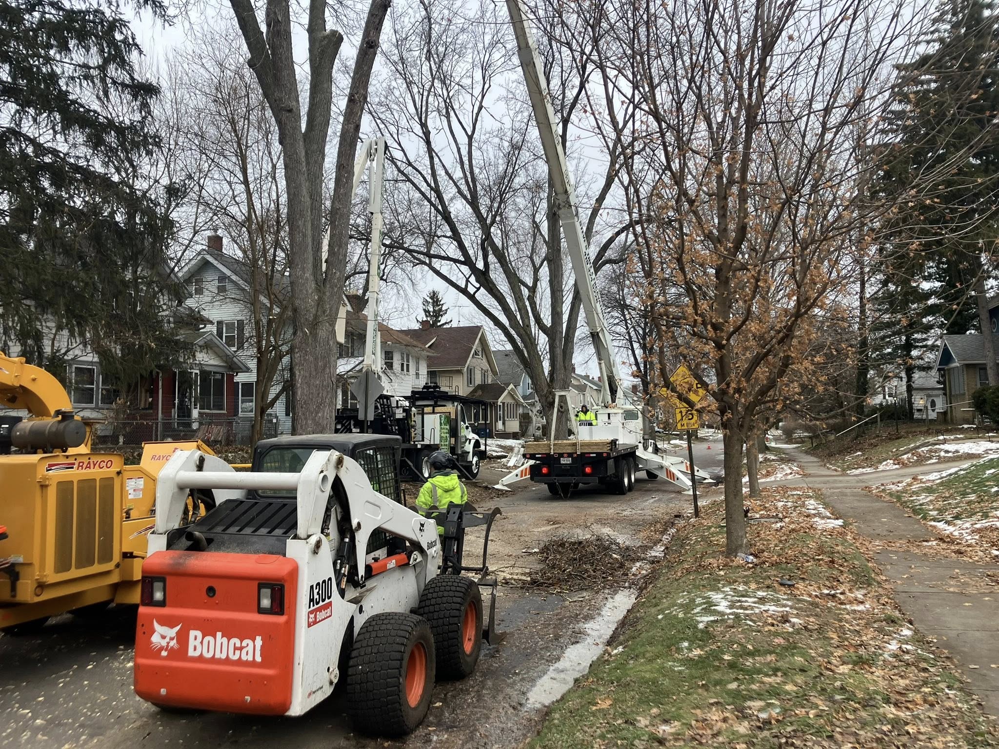 Steve's Tree Service1