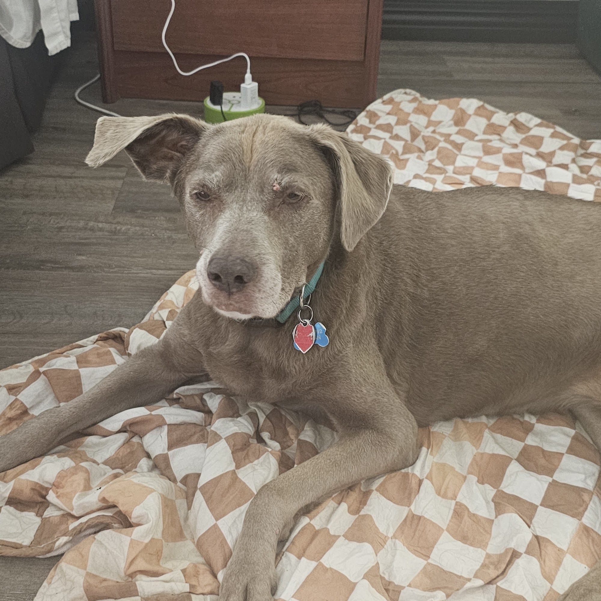 West Ridge Animal Clinic: Keener Marcie DVM Klamath Falls