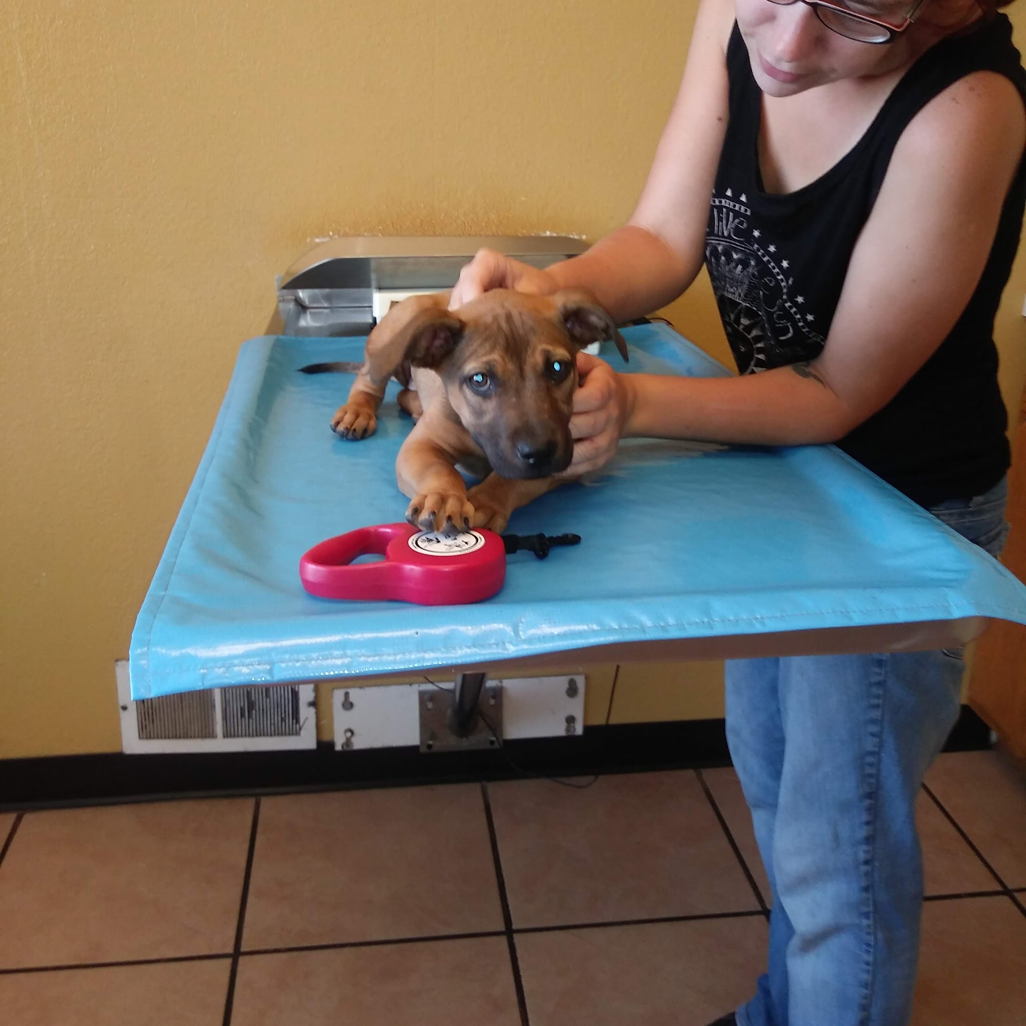 Klamath Animal Clinic Klamath Falls