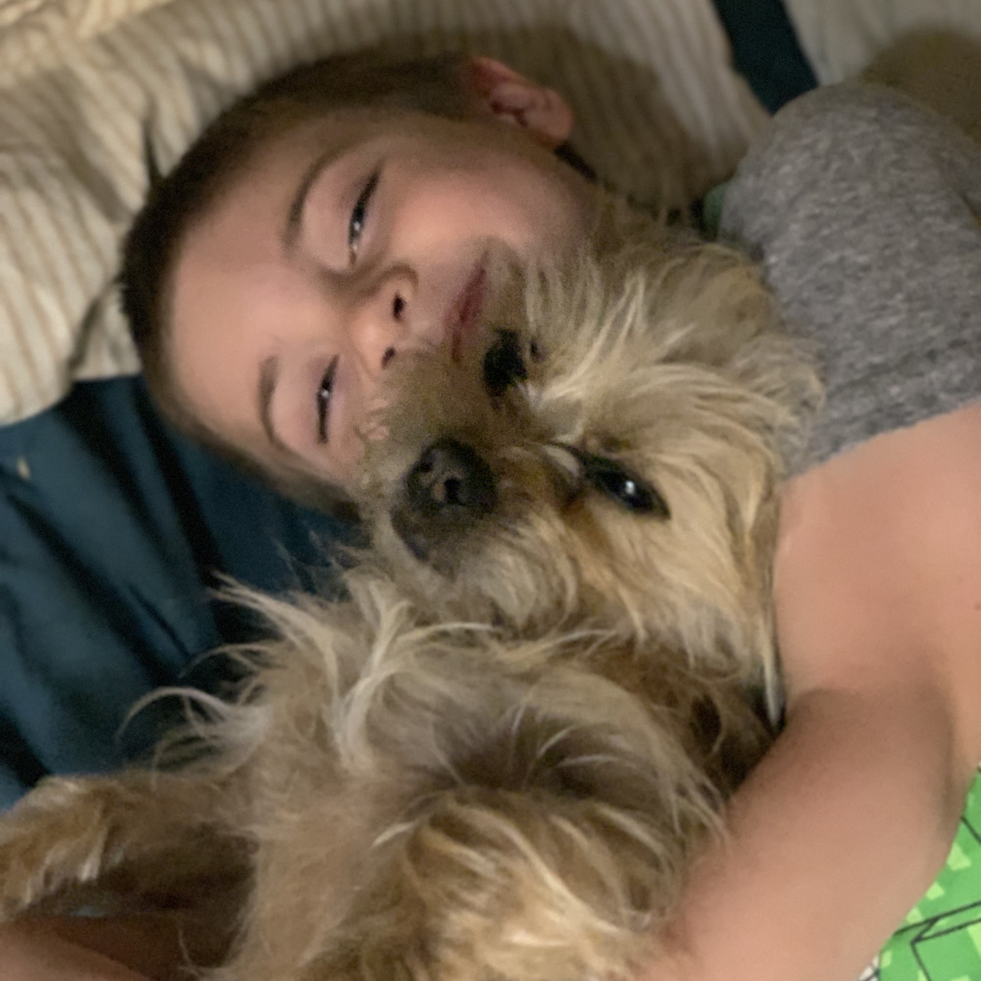 Pet Medical Center-Klamath Falls Klamath Falls