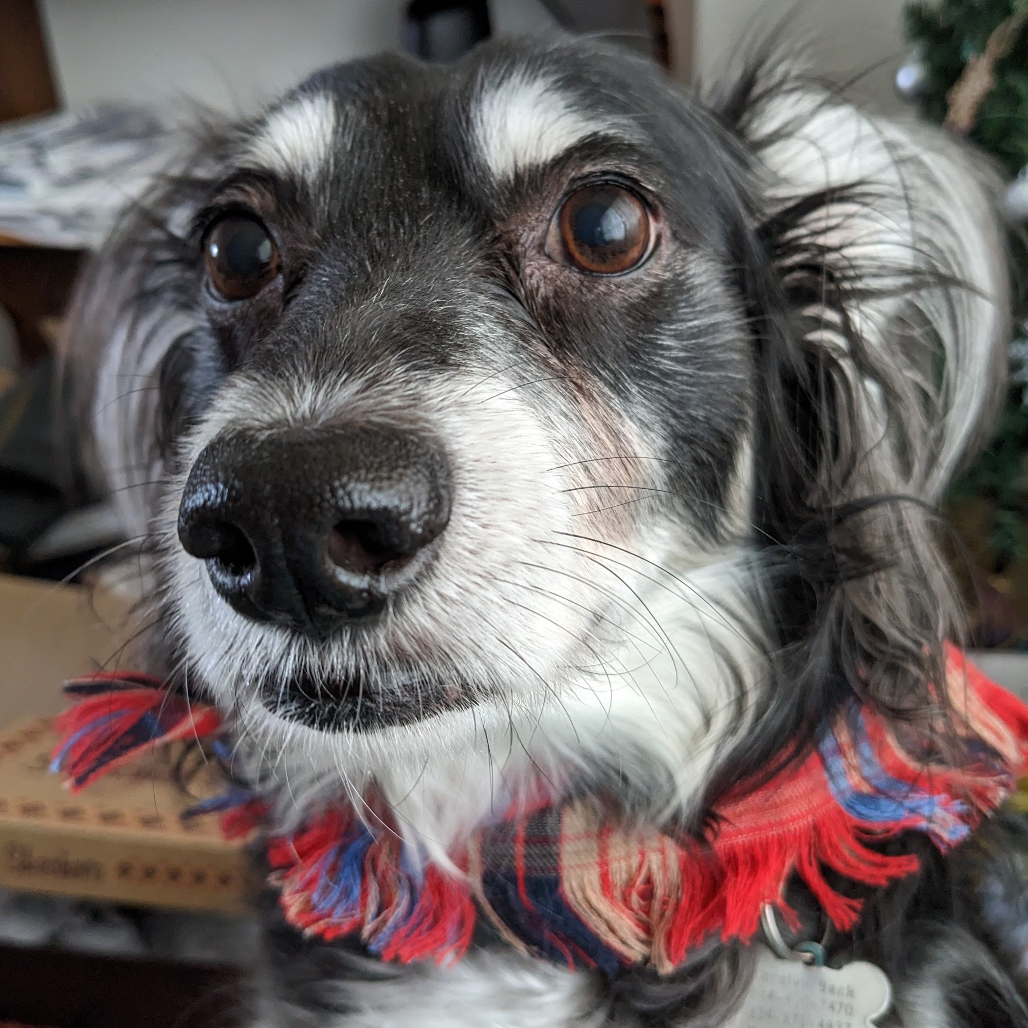 Hullman Veterinary Hospital LLC Klamath Falls