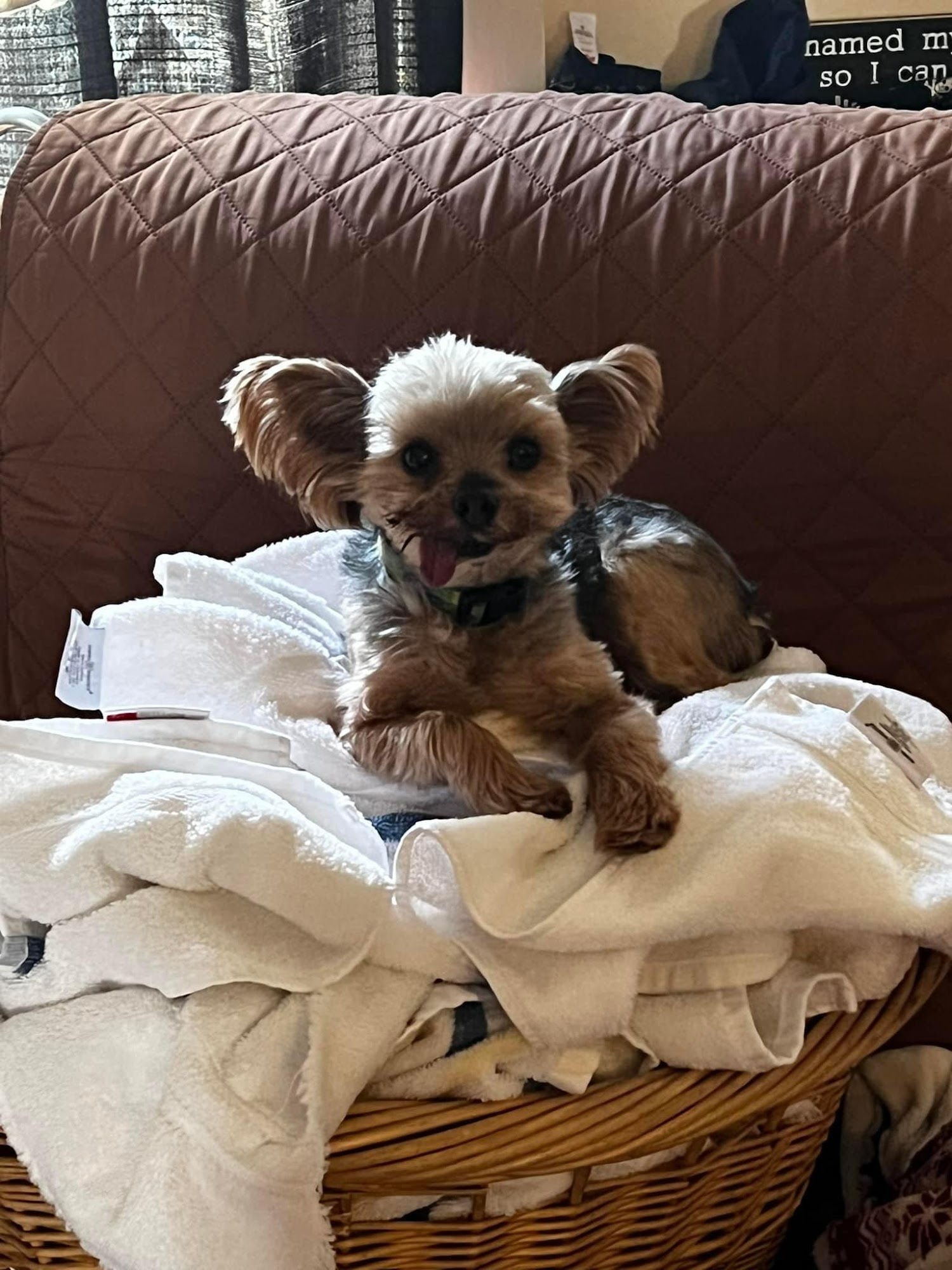 Grande Ronde Animal Hospital La Grande