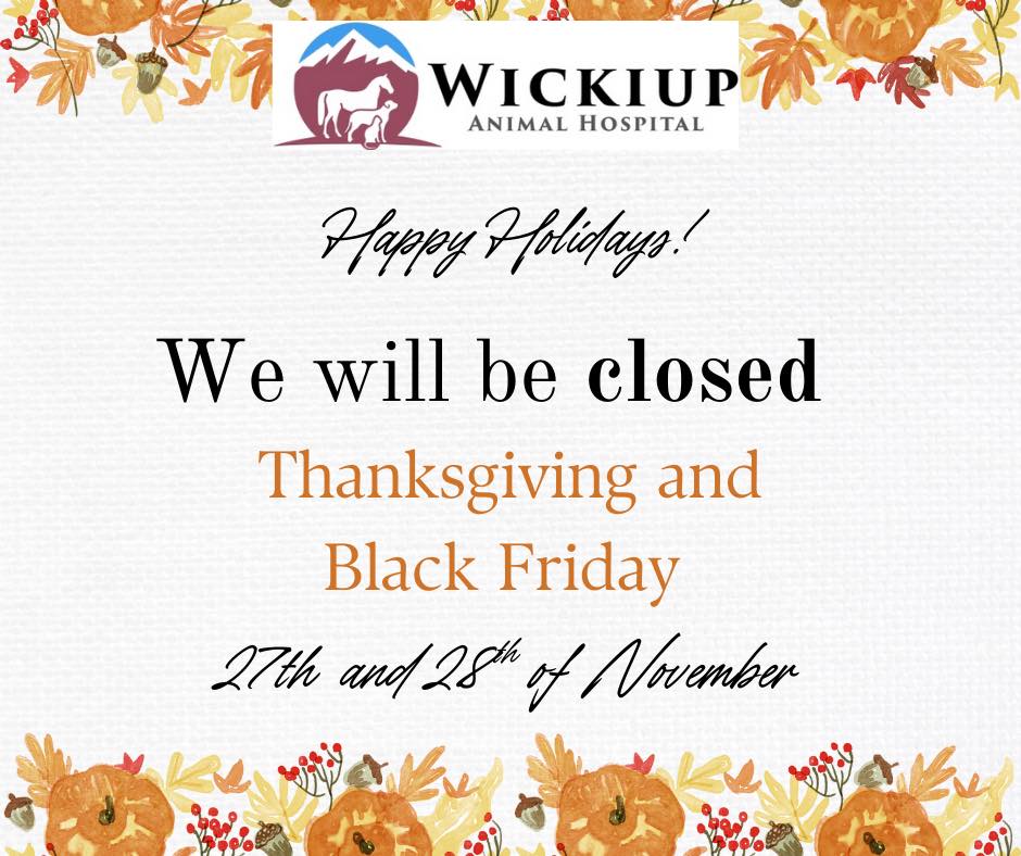 Wickiup Animal Hospital La Pine