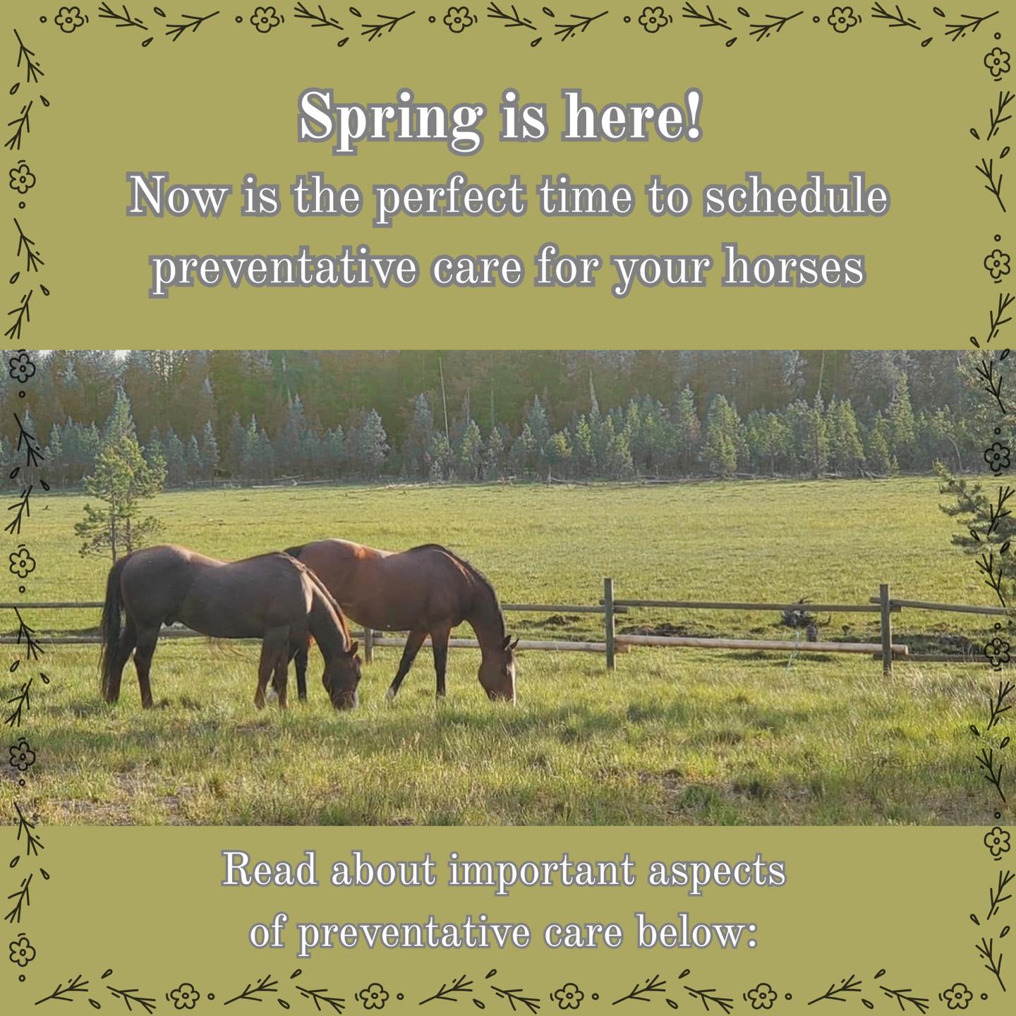 Wickiup Animal Hospital La Pine