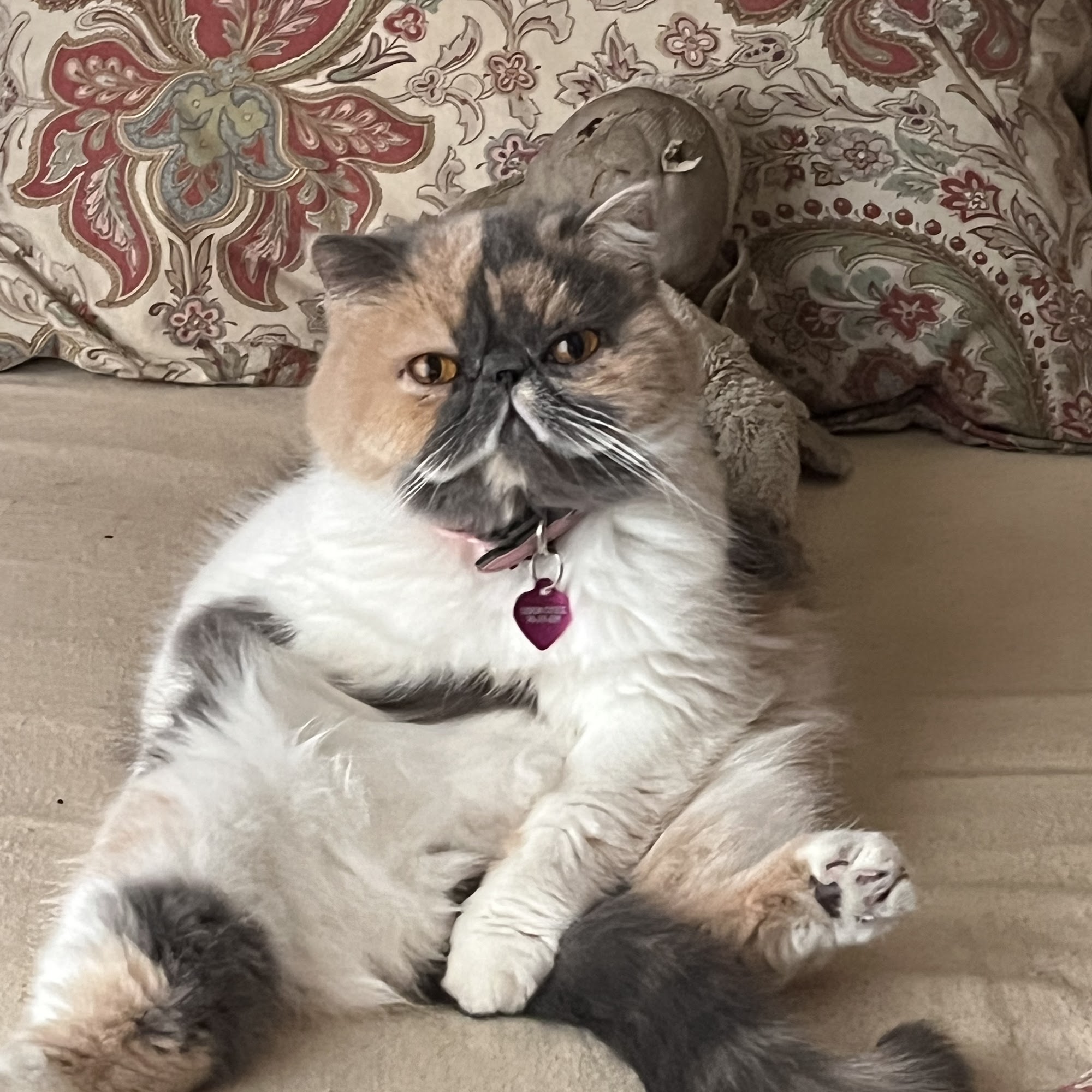 Compass Veterinary Clinic Lake Oswego