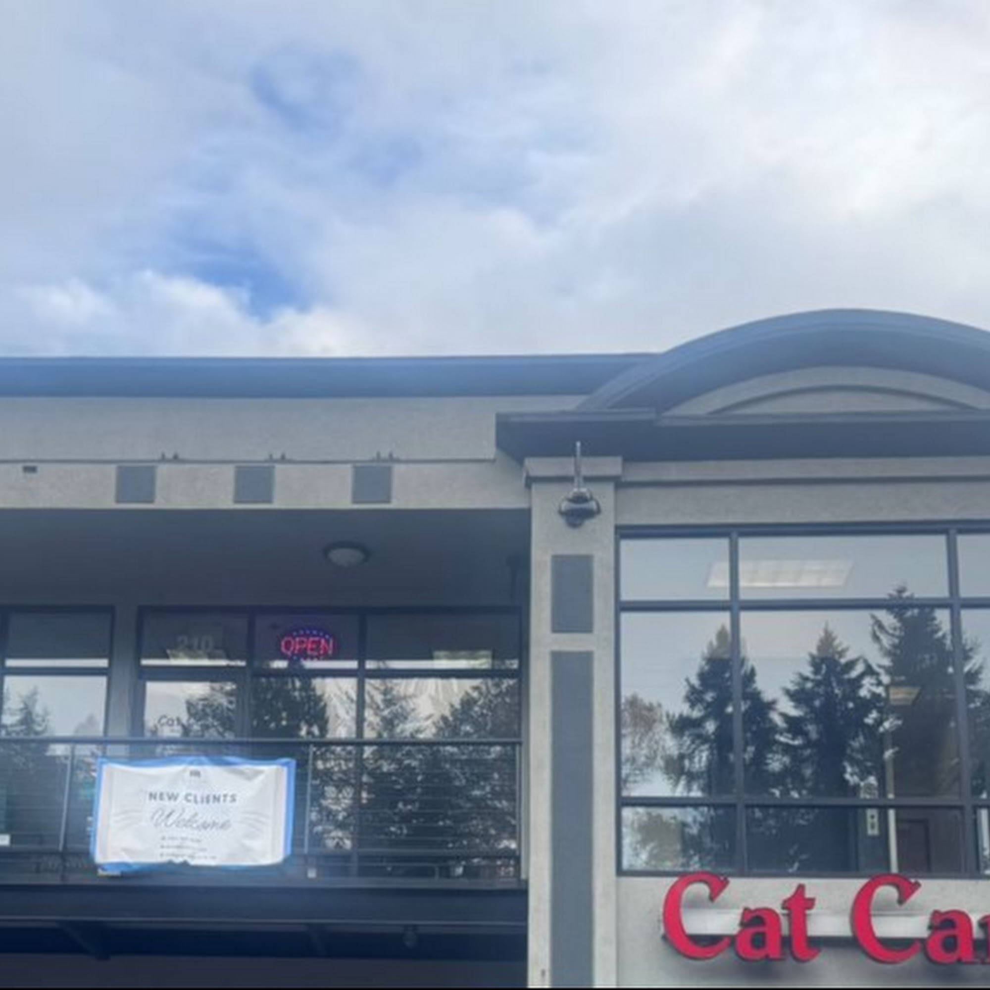 Cat Care Professionals Lake Oswego