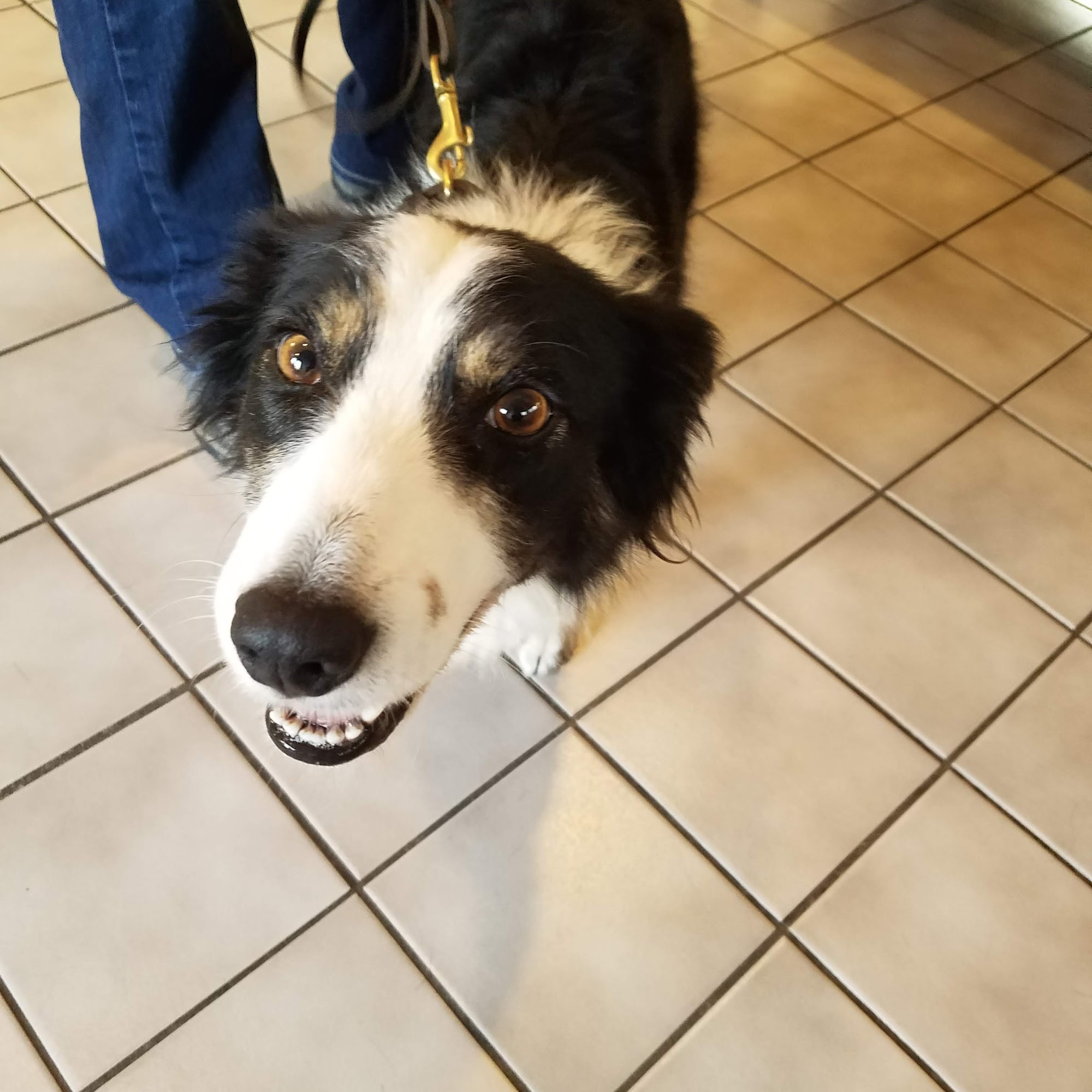 Full Circle Veterinary Care Lake Oswego