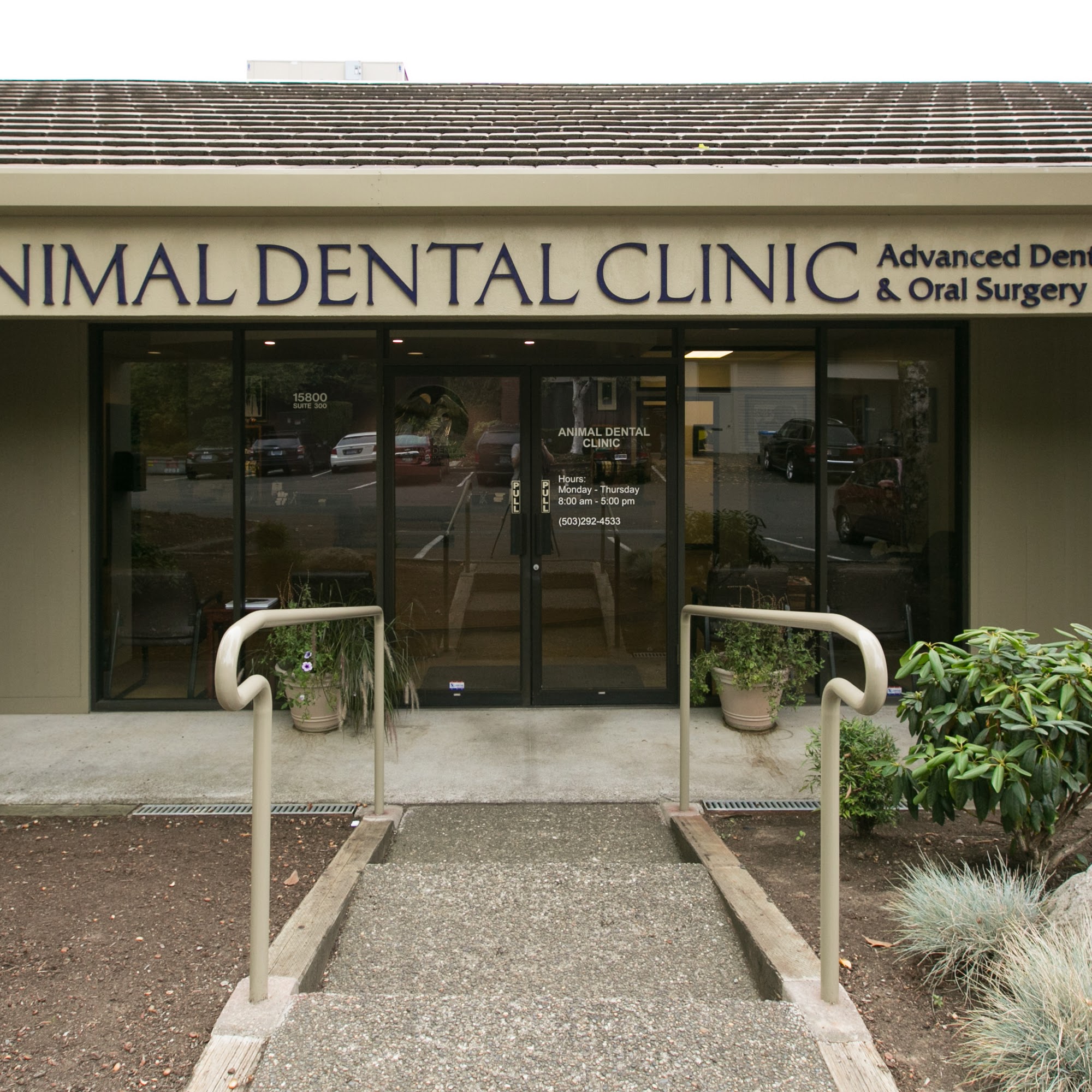 Oregon Veterinary Dental Specialists Lake Oswego